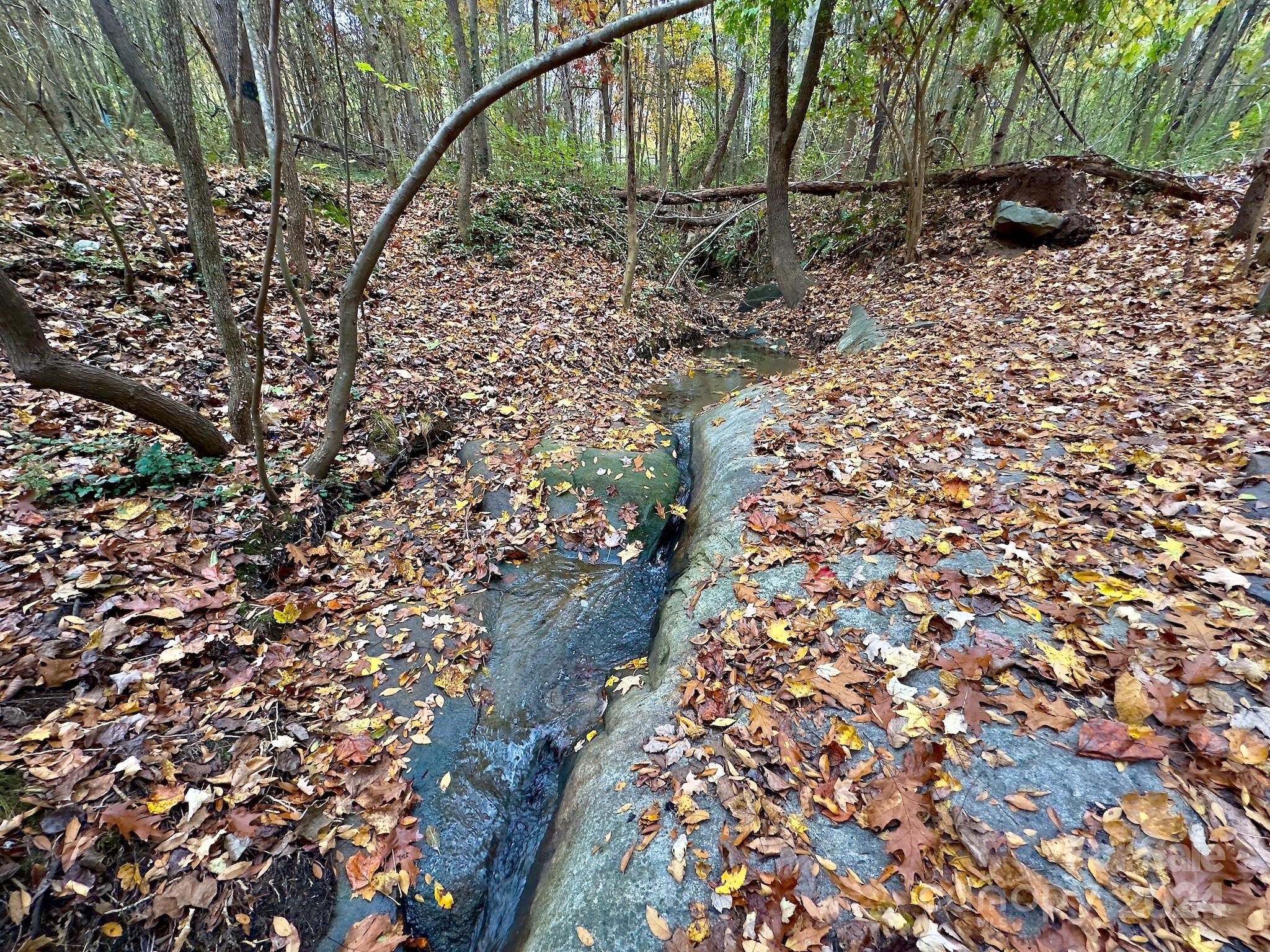 0 Swing Dairy Road Property Photo 37