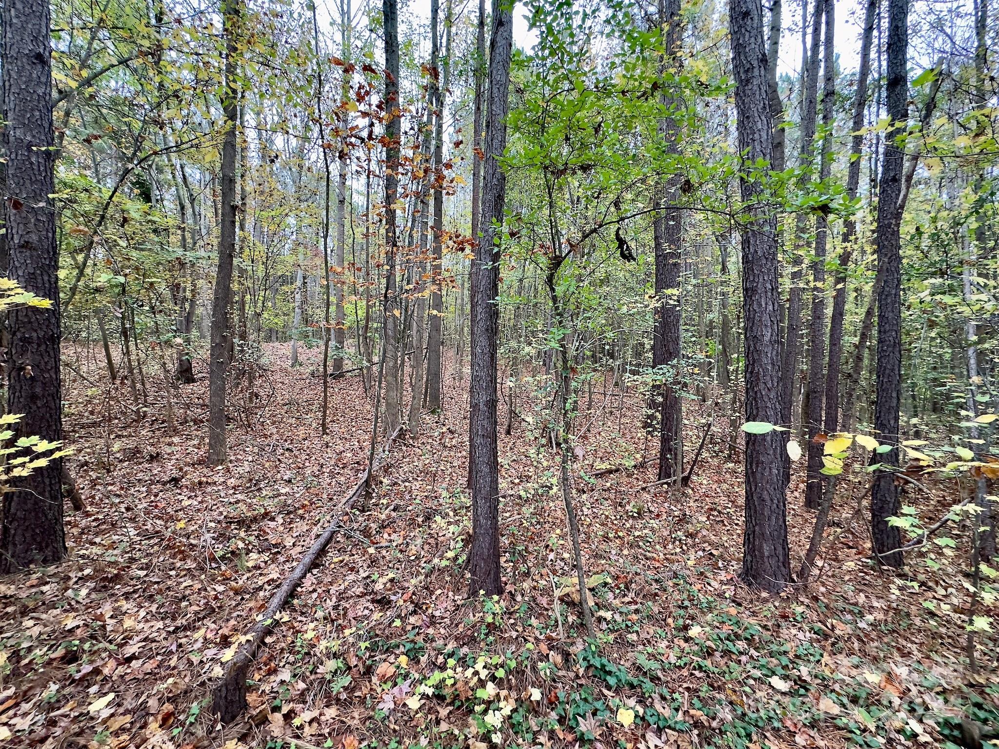 0 Swing Dairy Road Property Photo 41