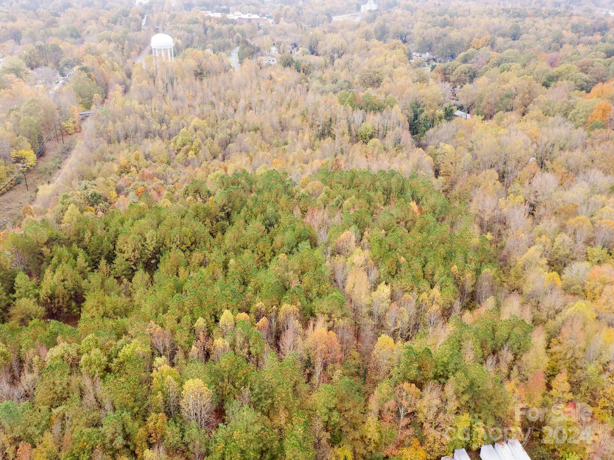 0 Swing Dairy Road Property Photo 44