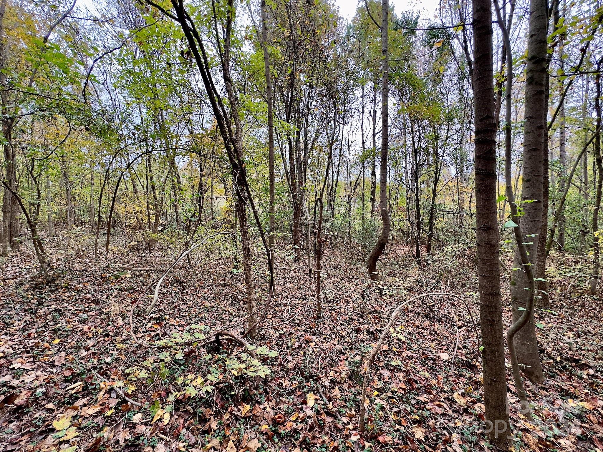 0 Swing Dairy Road Property Photo 48