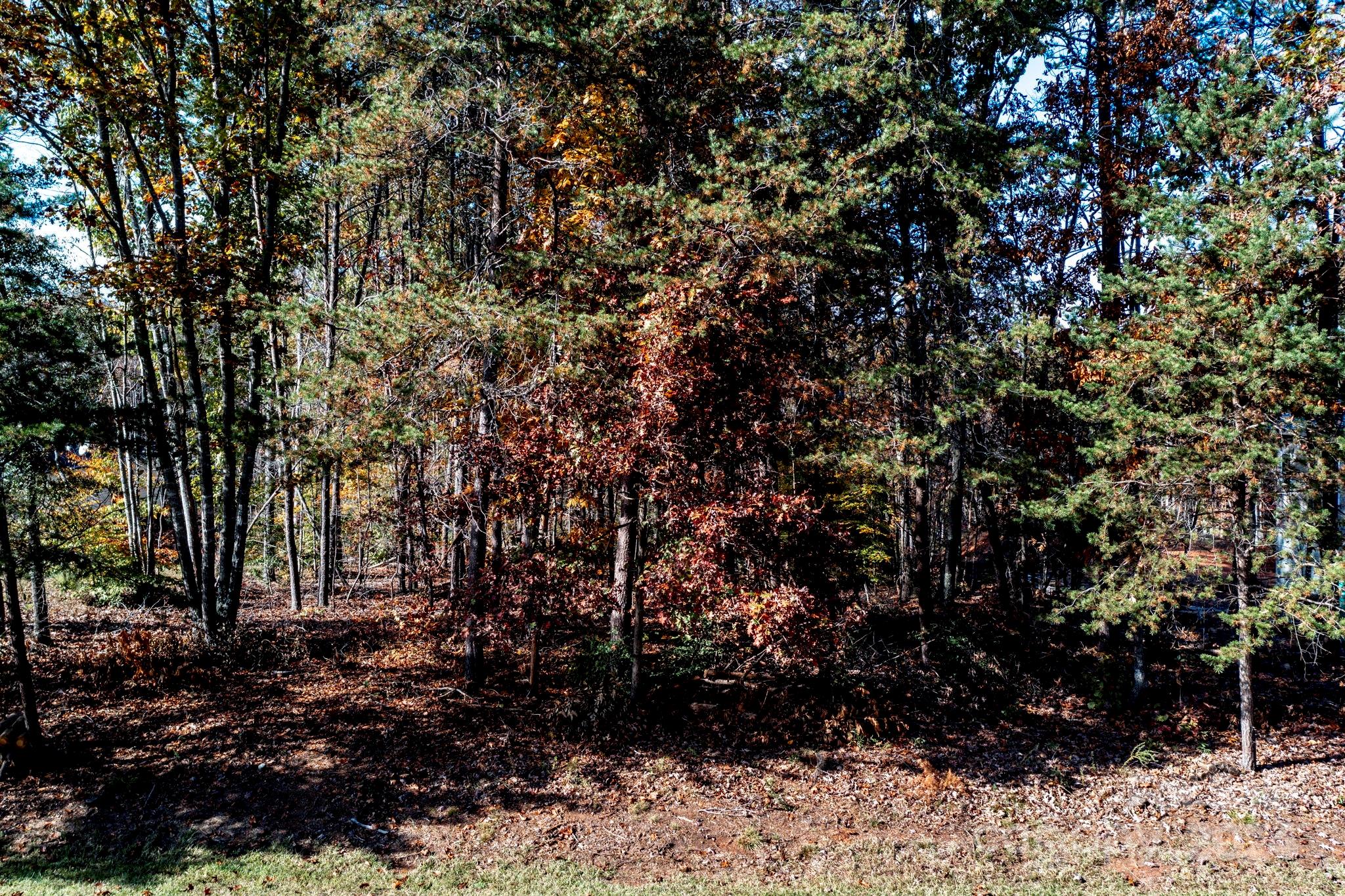 1676 Parkside Drive Property Photo 15