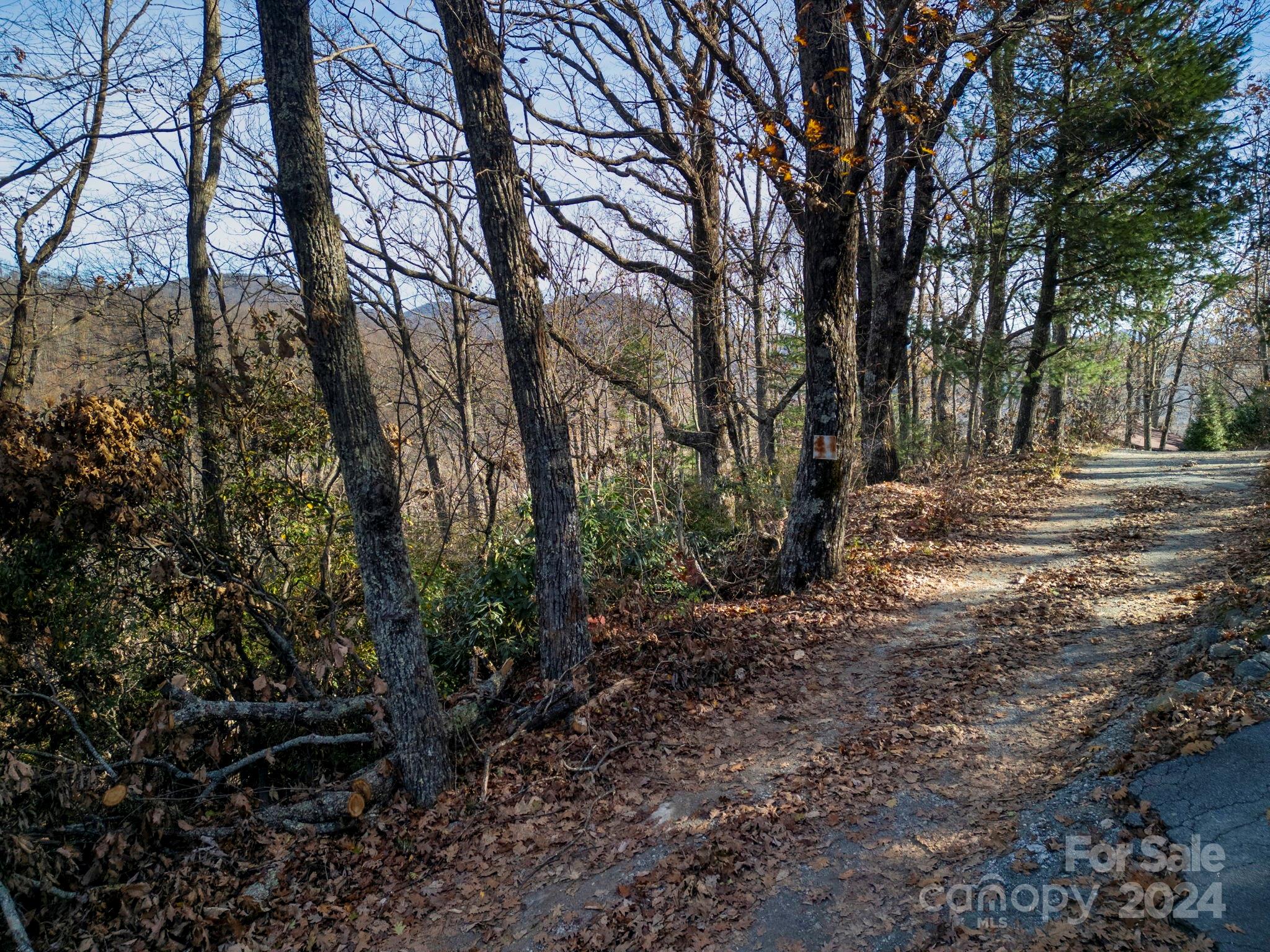 1791 Old Mill Road Property Photo 2