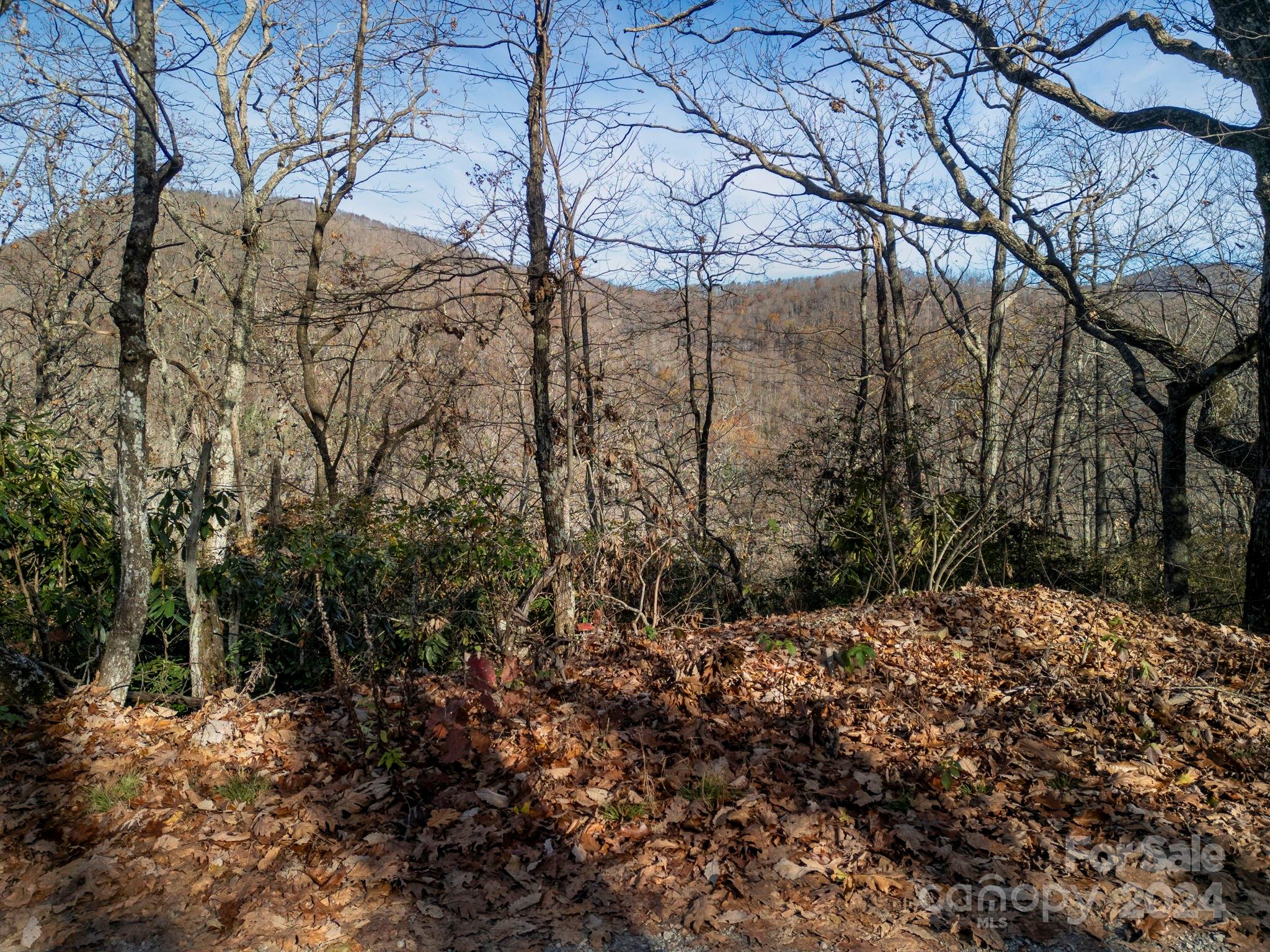 1791 Old Mill Road Property Photo 4