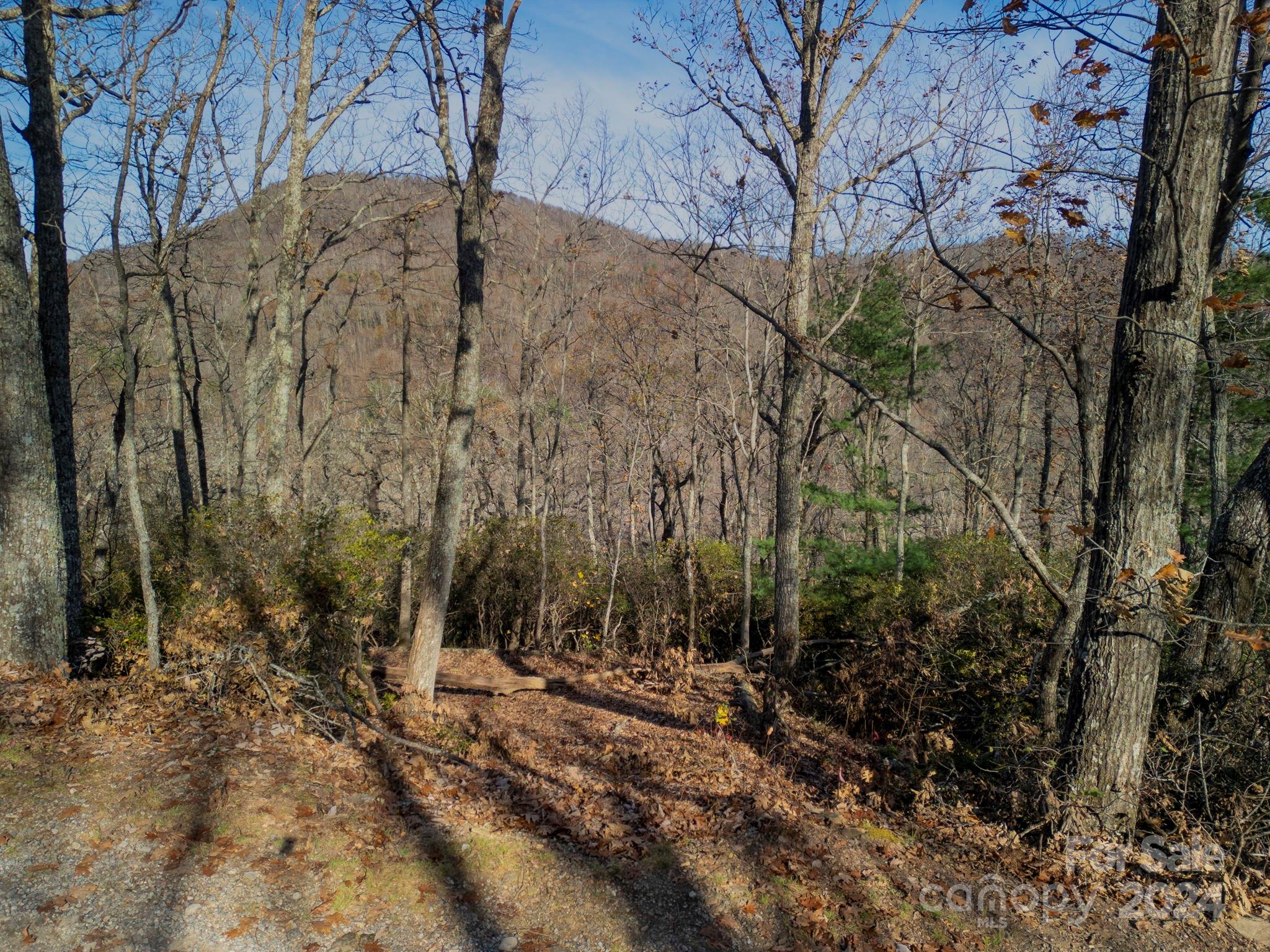 1791 Old Mill Road Property Photo 6