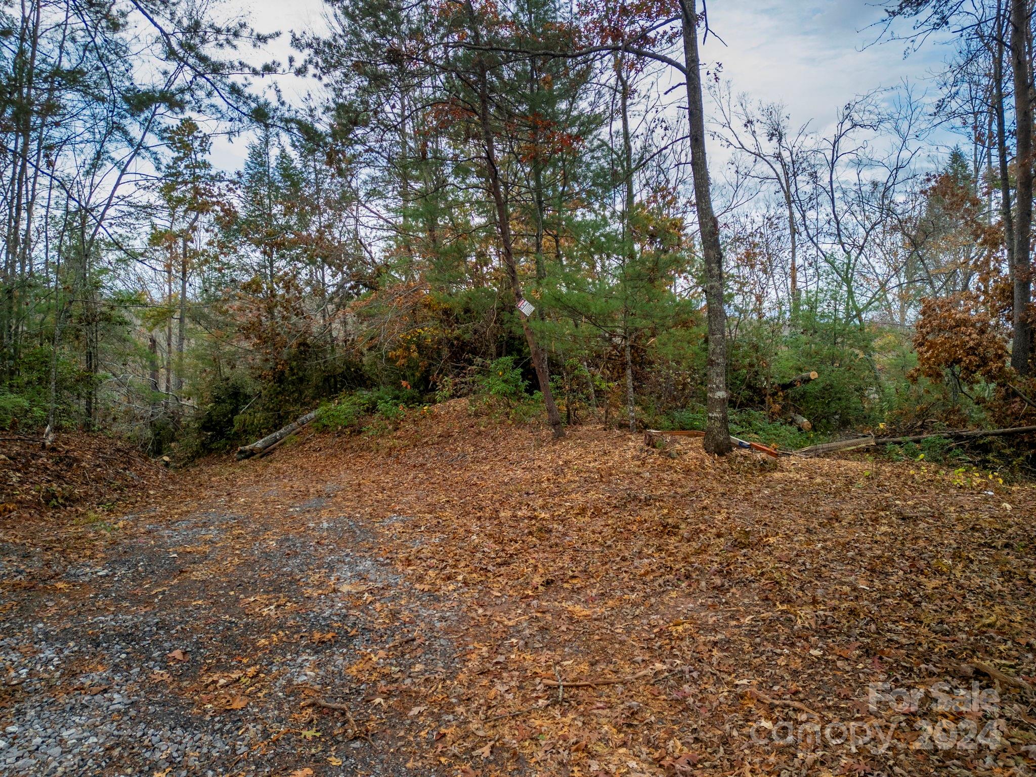00000 Davistown Church Road Property Photo 10