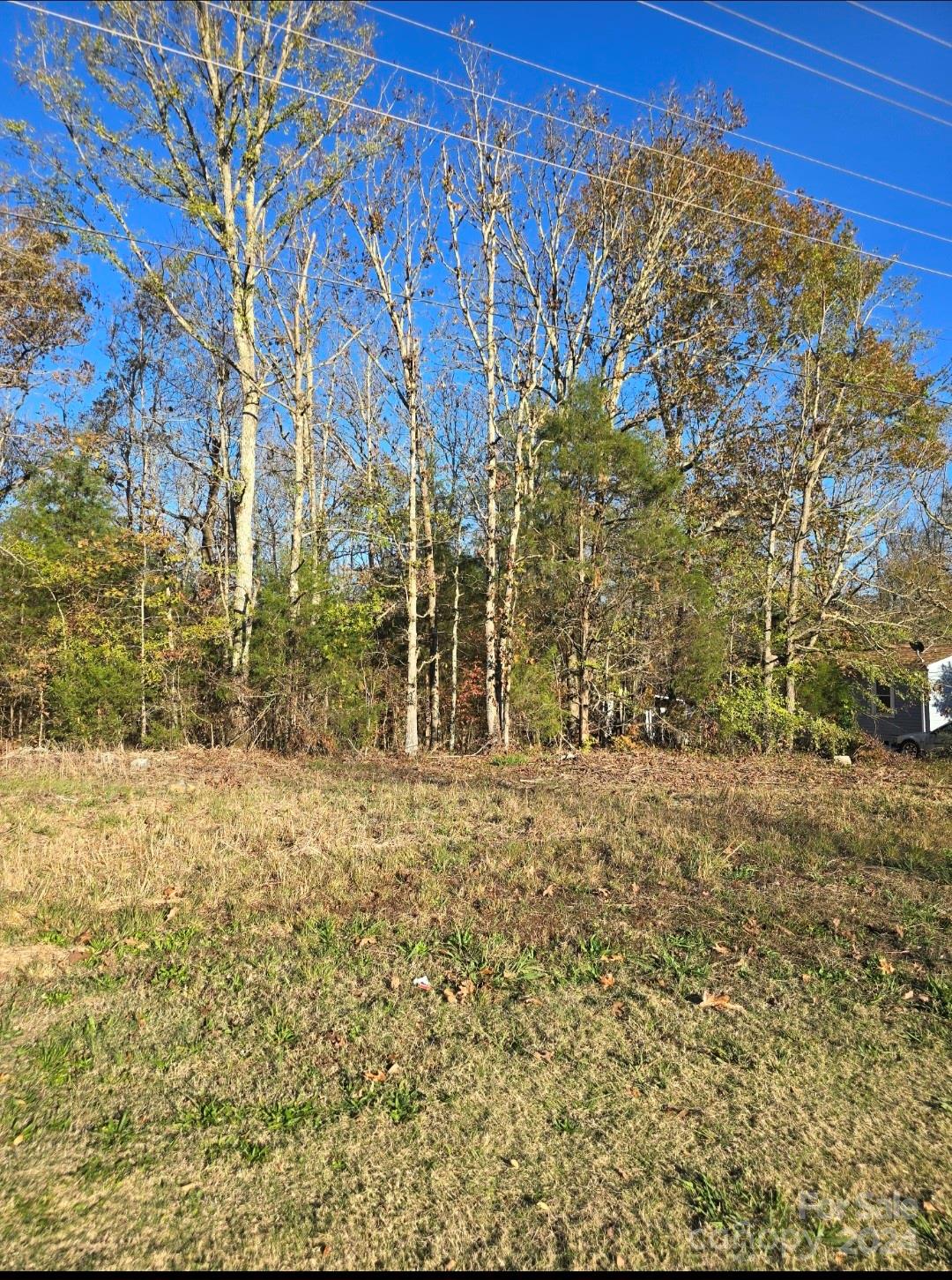 1361 Mt Holly Road Property Photo 2