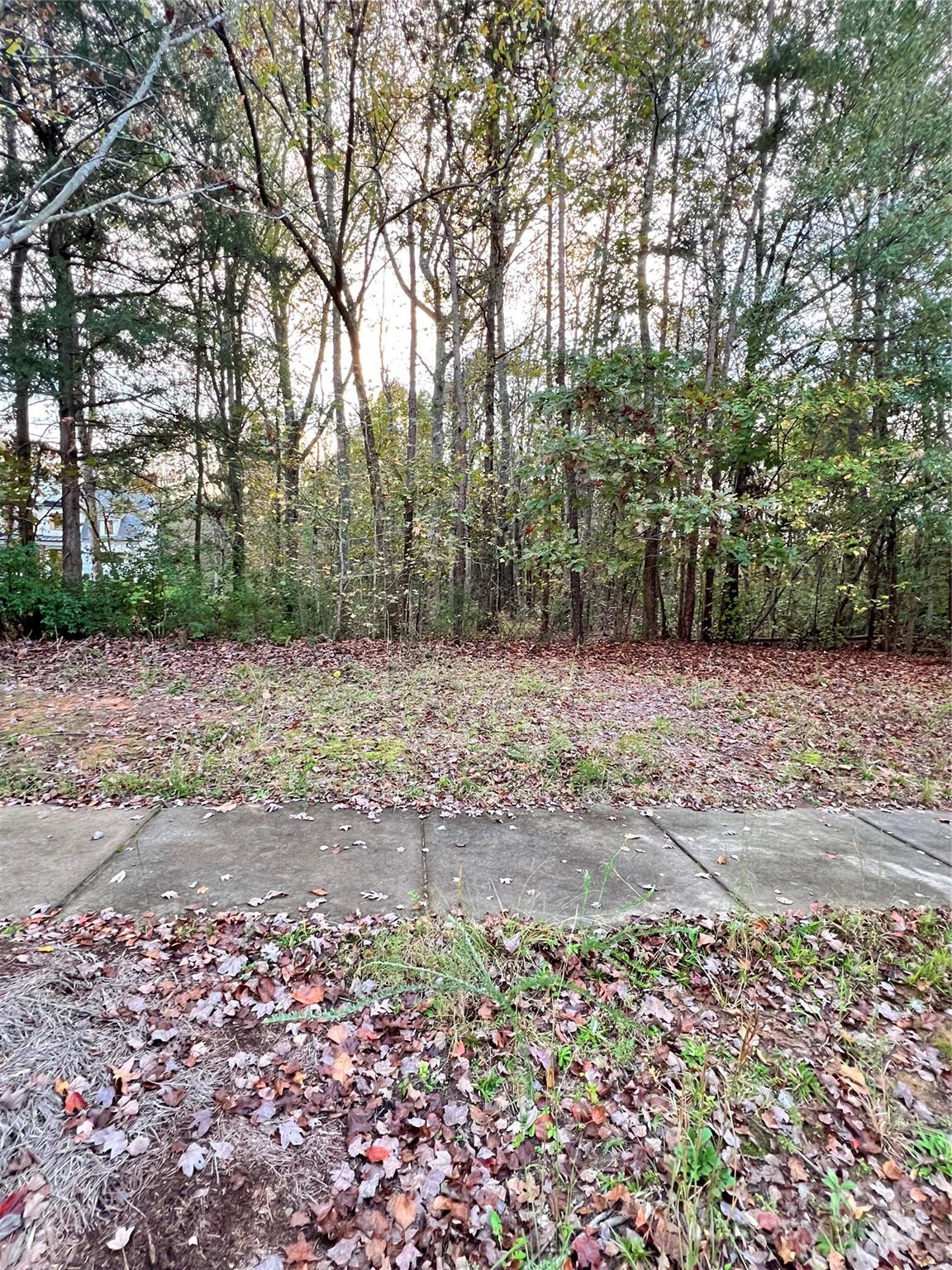 7006 Waxhaw Crossing Drive Property Photo 3