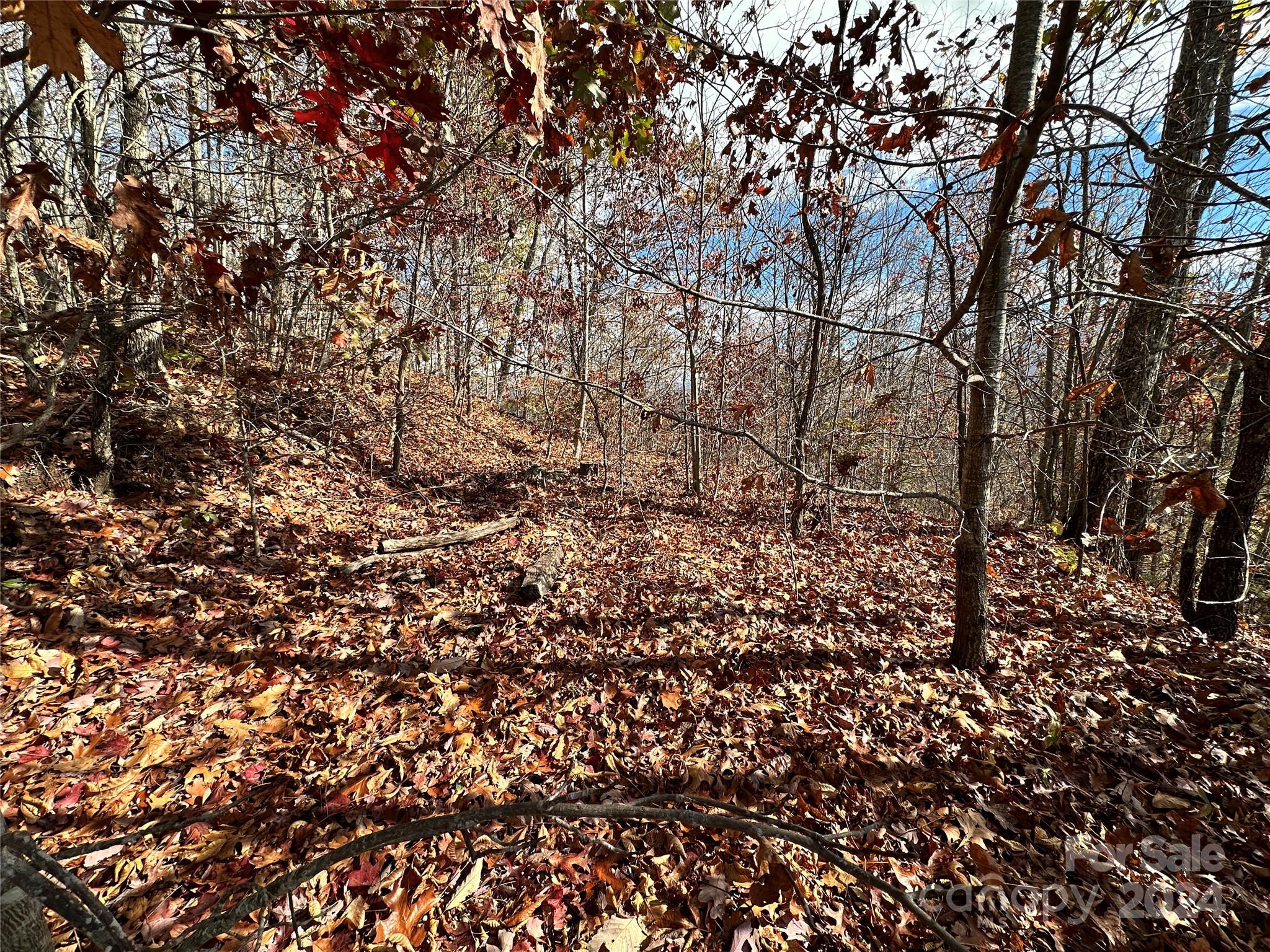 0 Charleston Ridge Property Photo 10