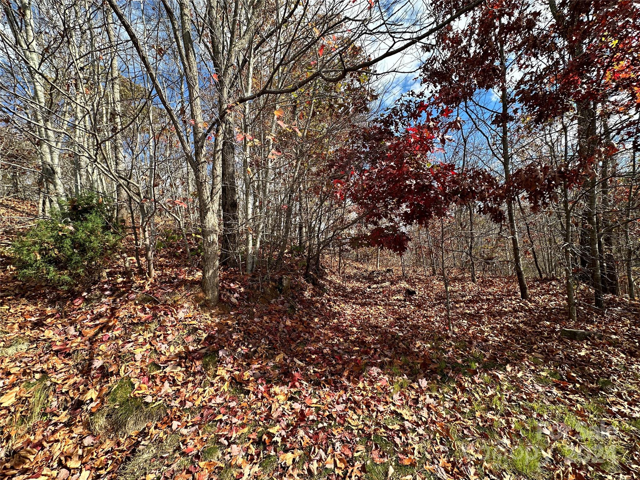 0 Charleston Ridge Property Photo 11