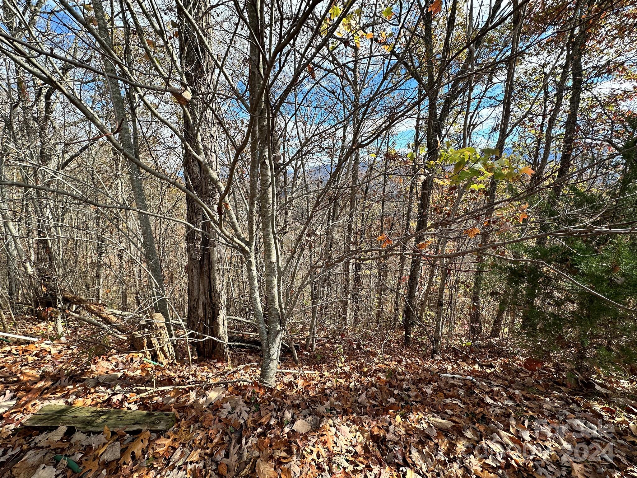 0 Charleston Ridge Property Photo 12
