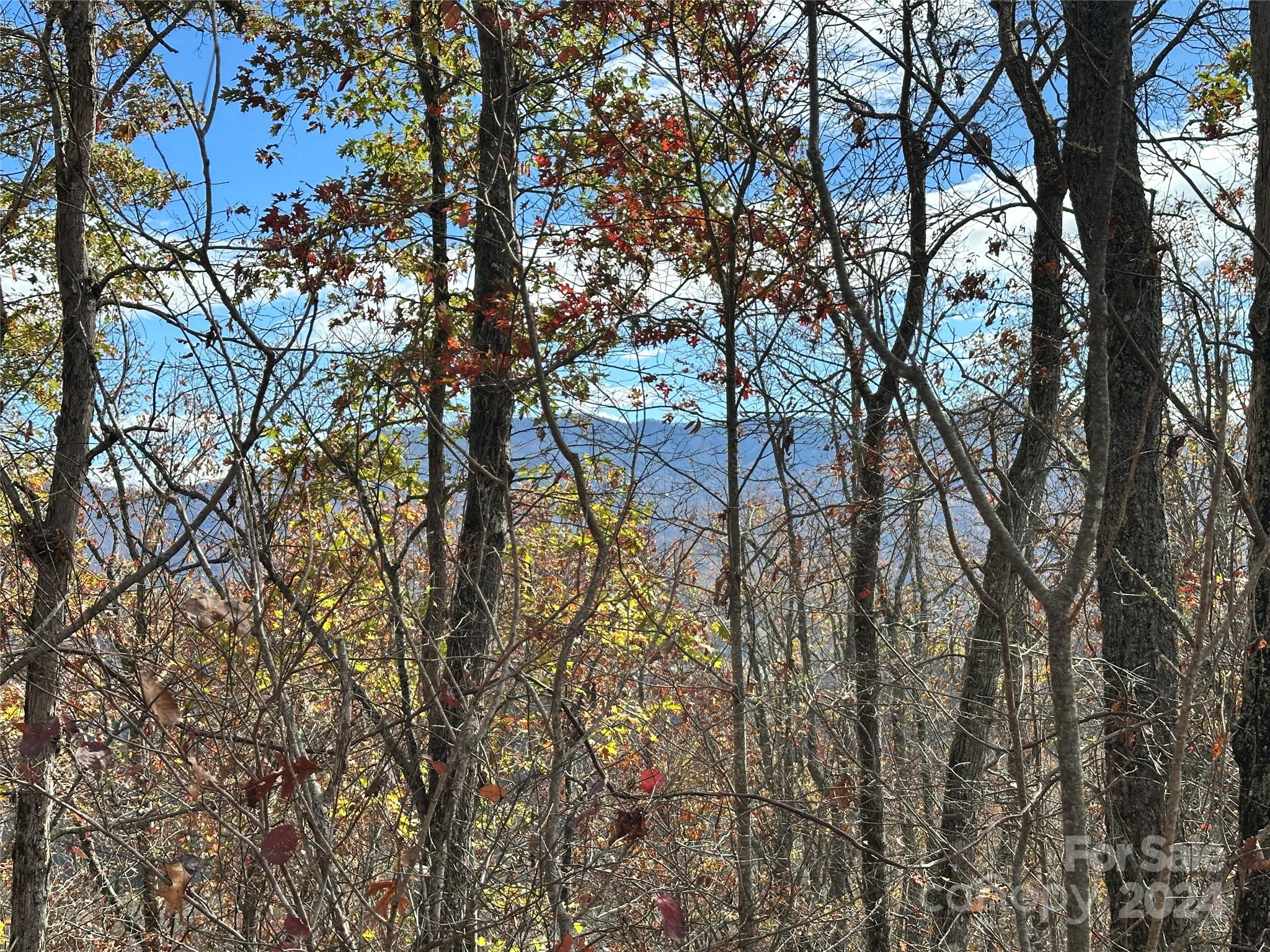 0 Charleston Ridge Property Photo 18