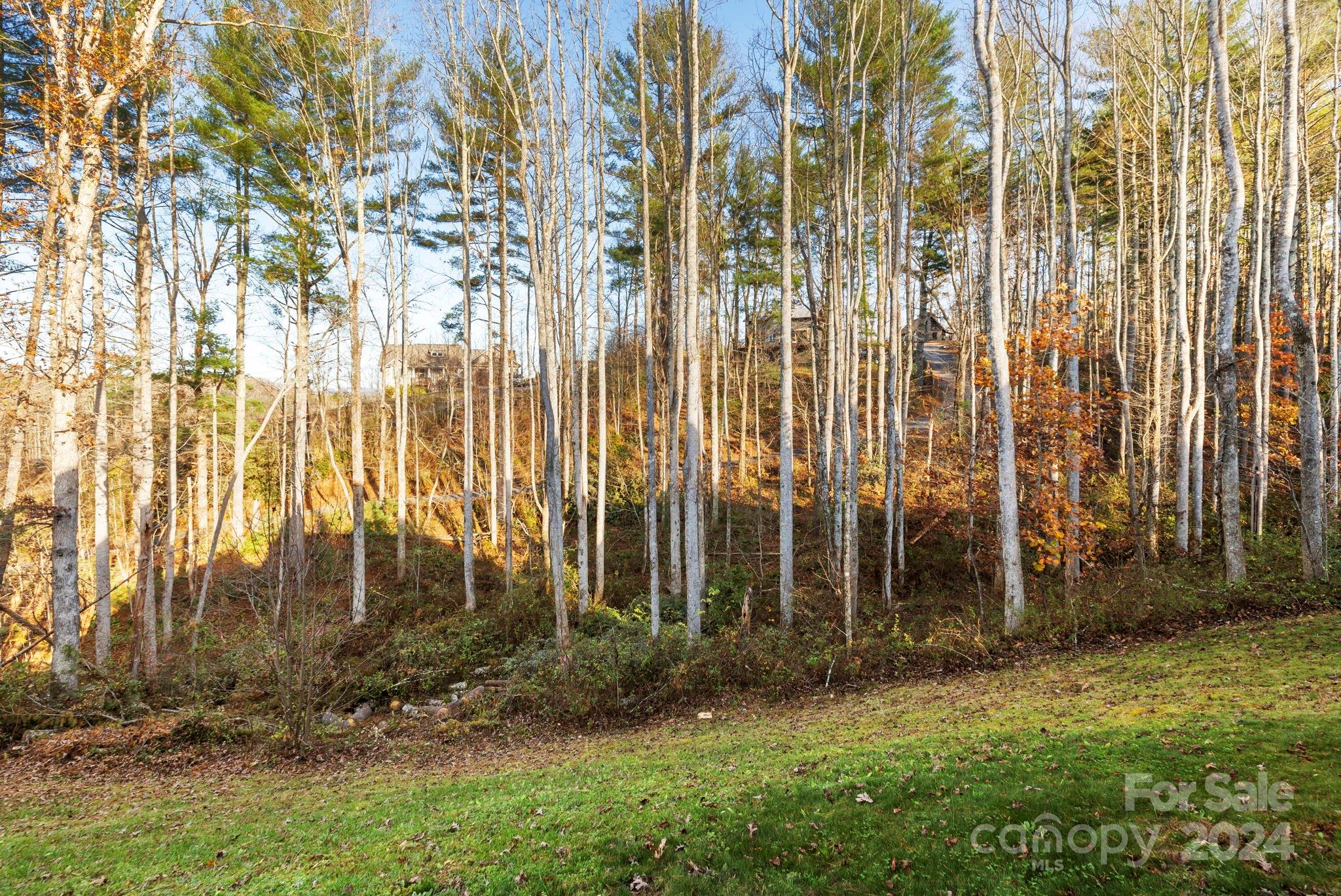 155 Hayes Ridge Lane Property Photo 8