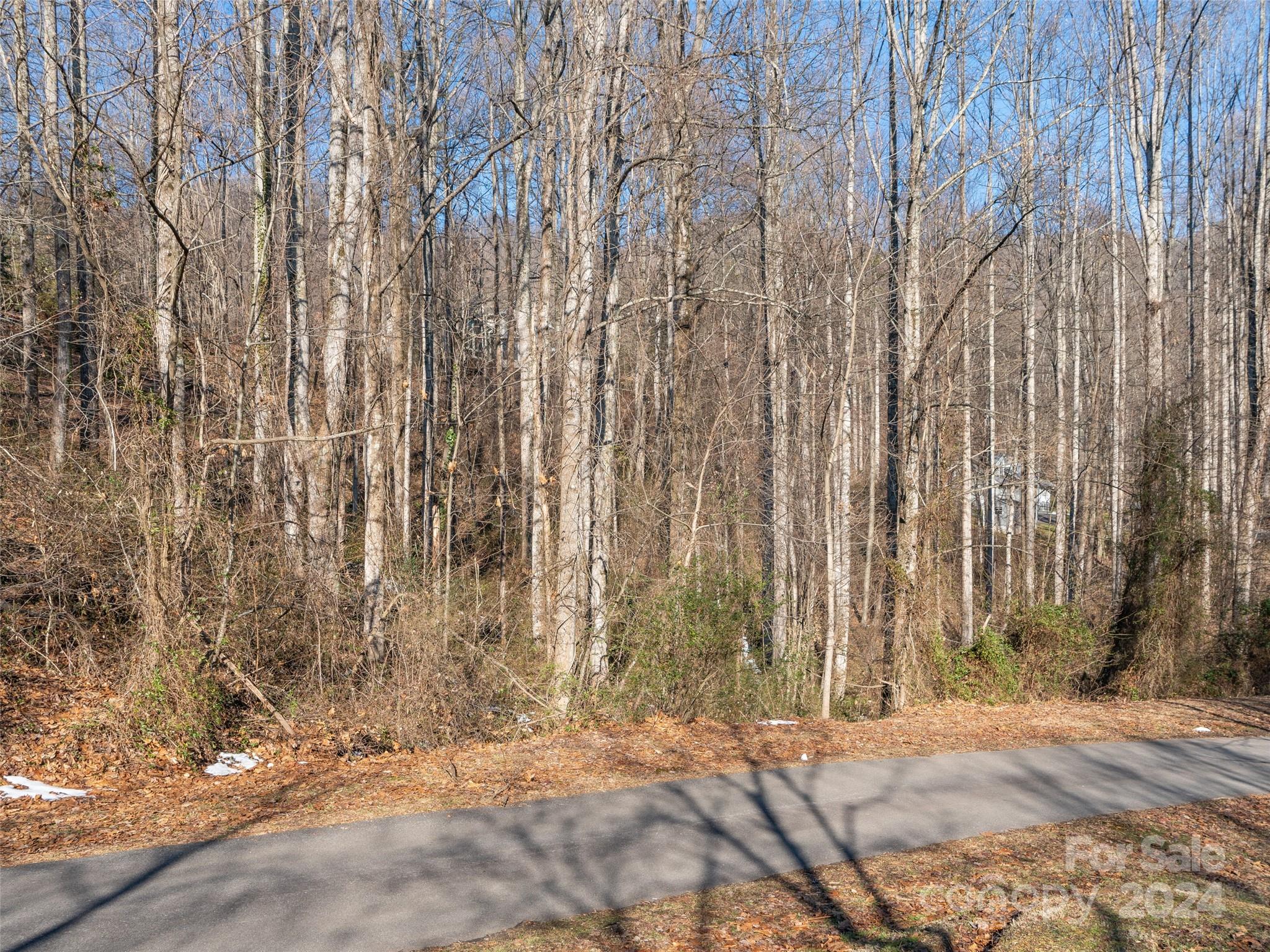 9999 Lovebird Lane 1 Property Photo 4