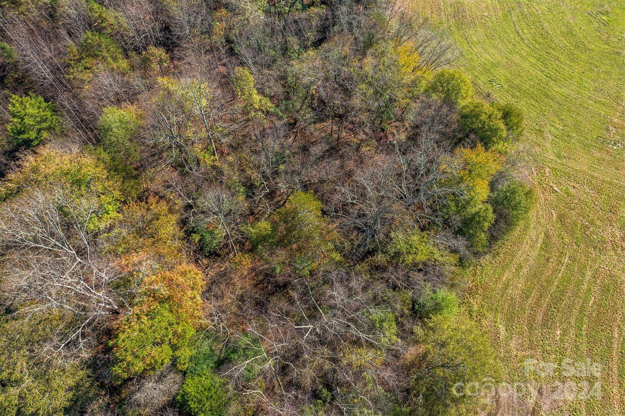 5474 & 5478 Nc 16 Highway Property Photo 13