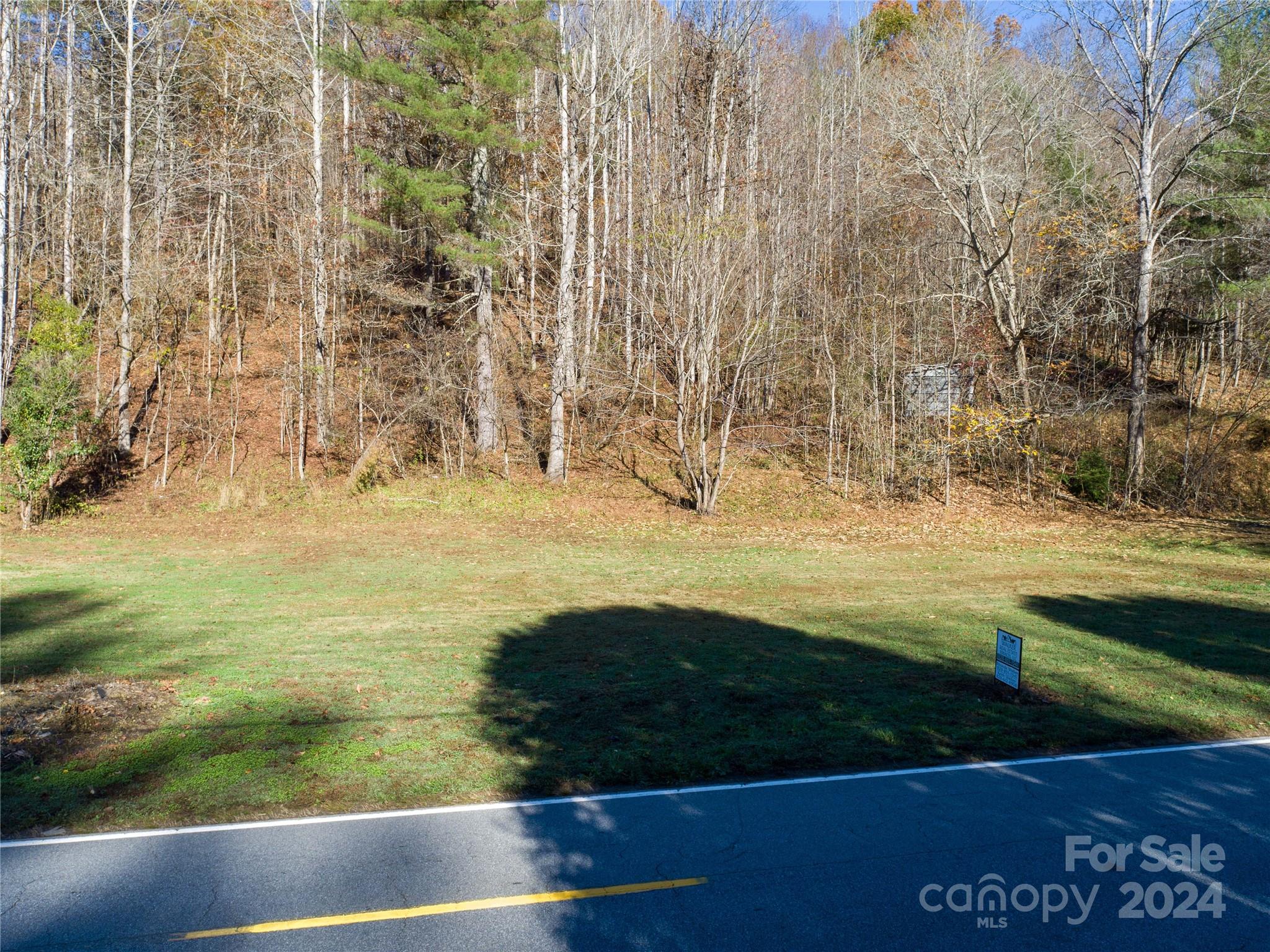 2003 Zacks Fork Road Property Photo 3