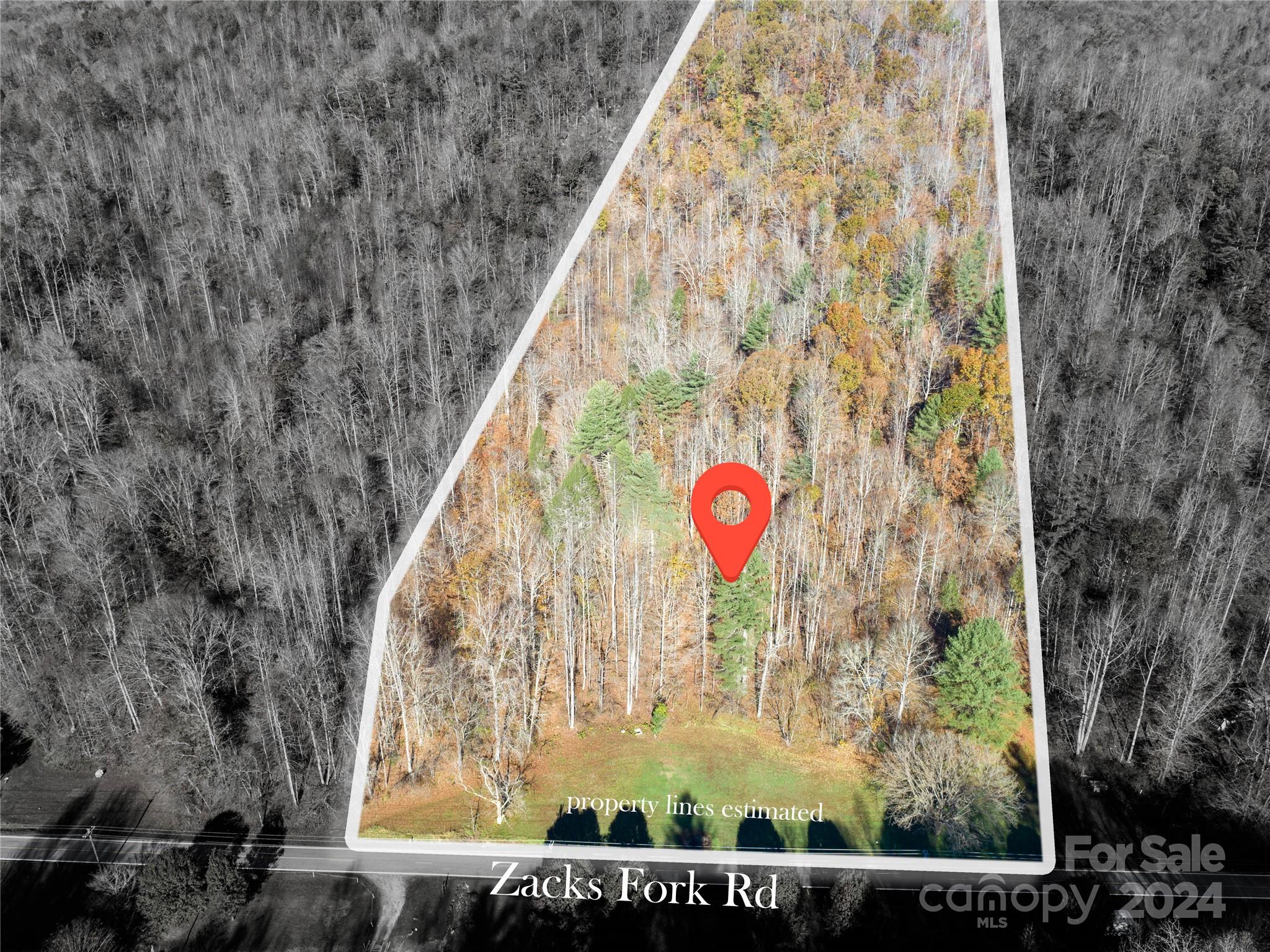 2003 Zacks Fork Road Property Photo 6