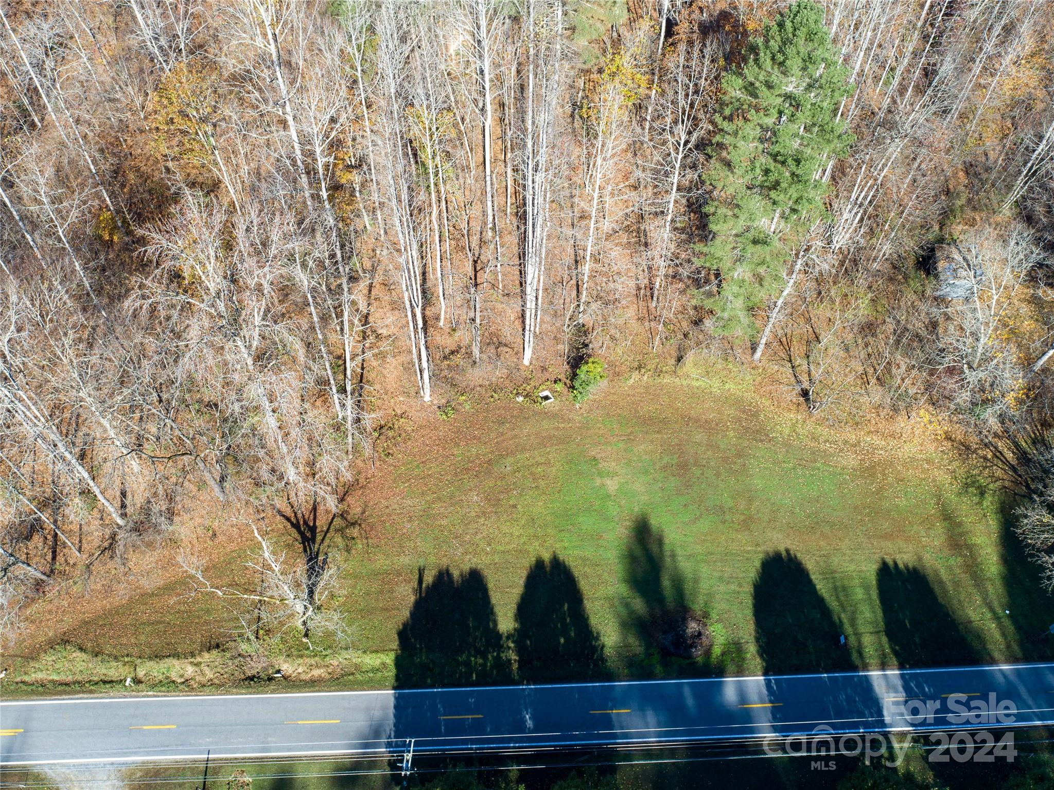 2003 Zacks Fork Road Property Photo 9