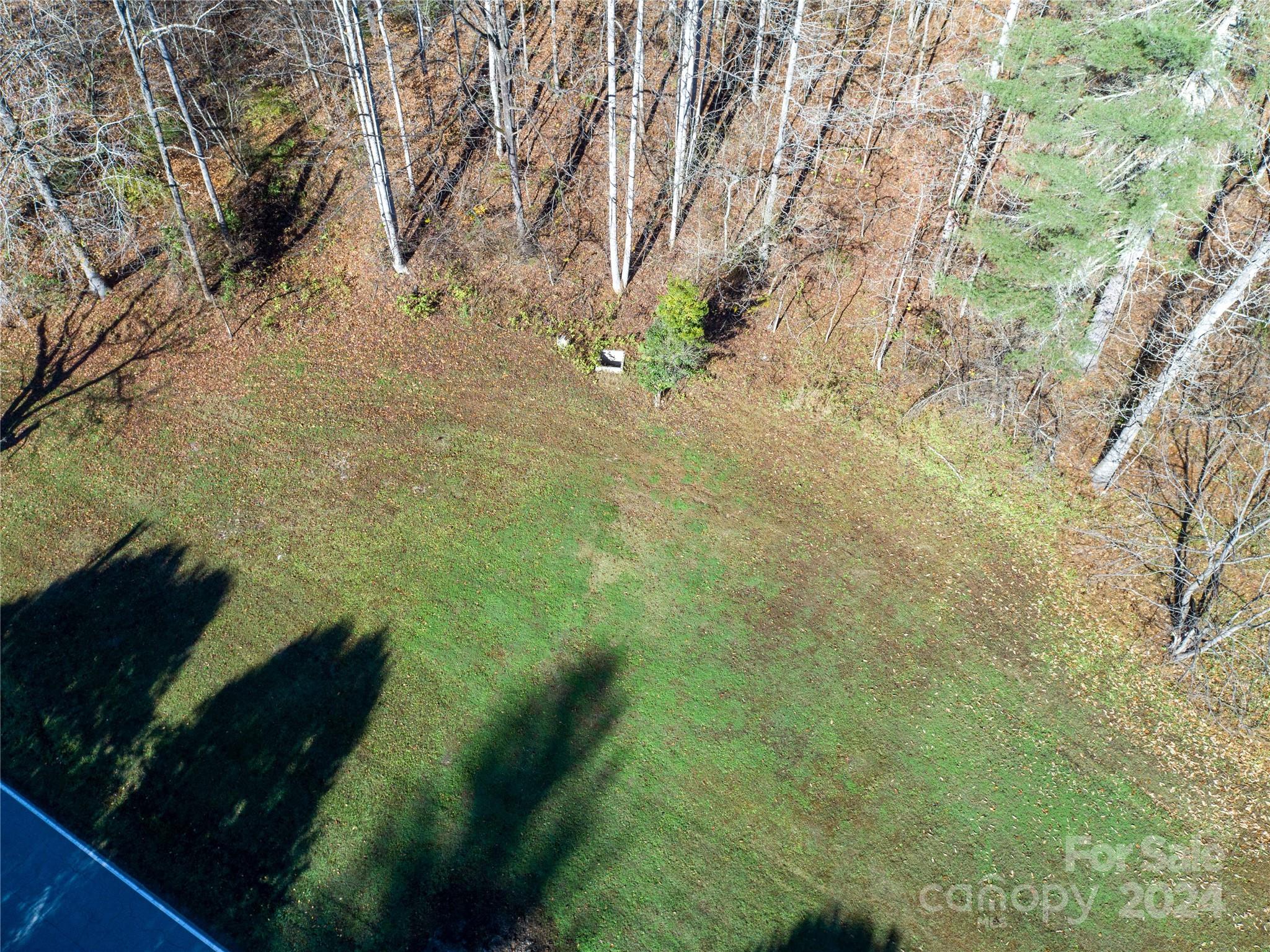 2003 Zacks Fork Road Property Photo 10