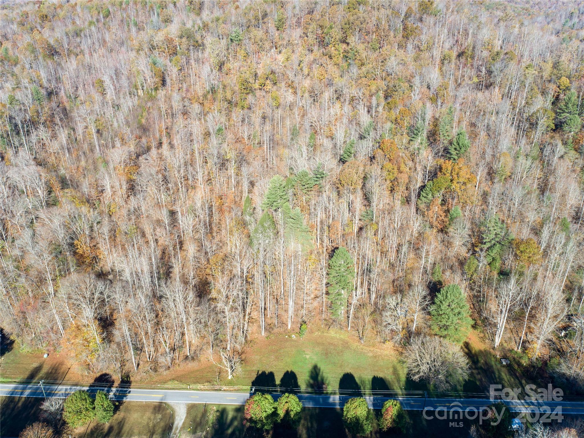 2003 Zacks Fork Road Property Photo 11