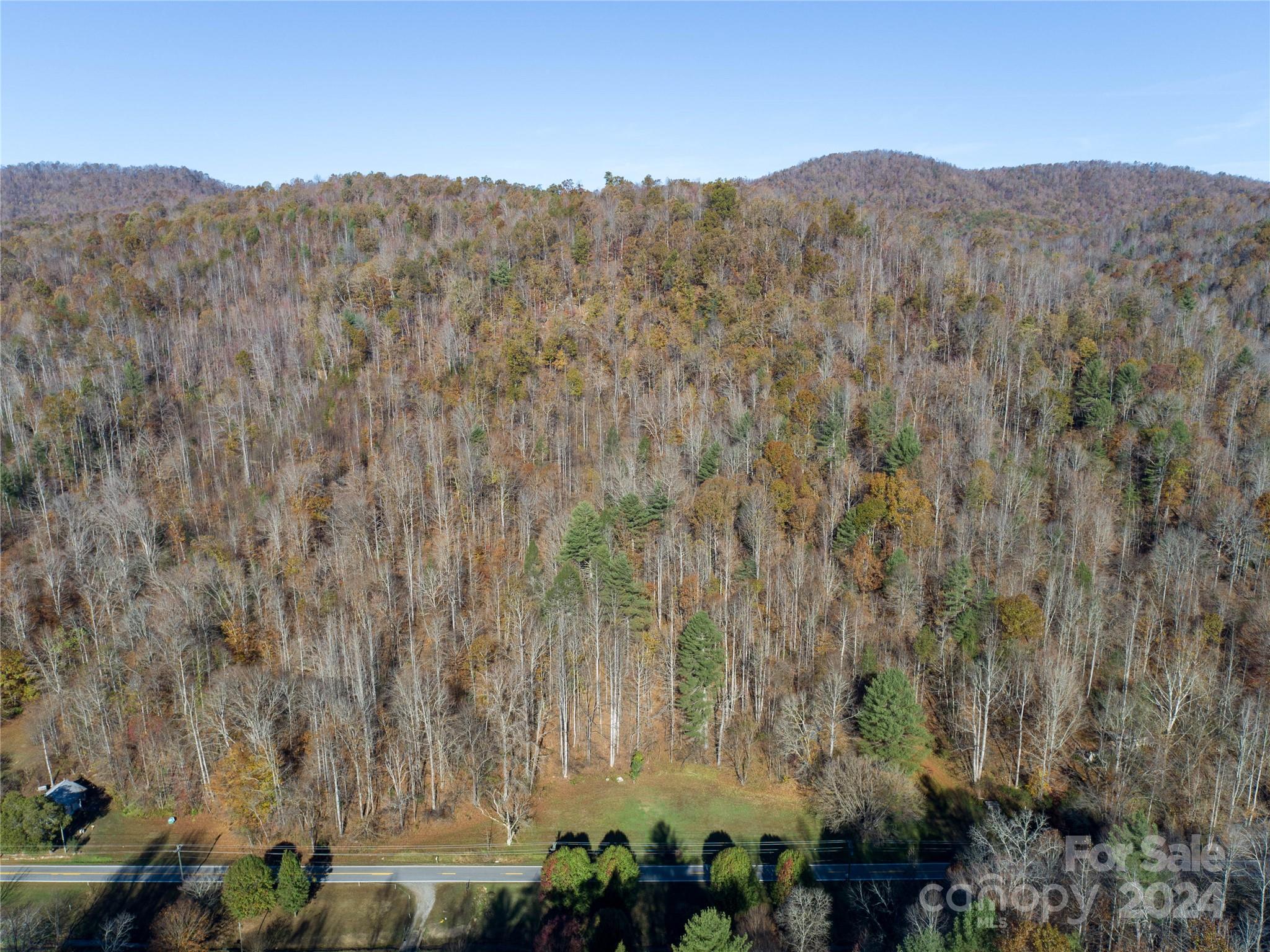 2003 Zacks Fork Road Property Photo 13