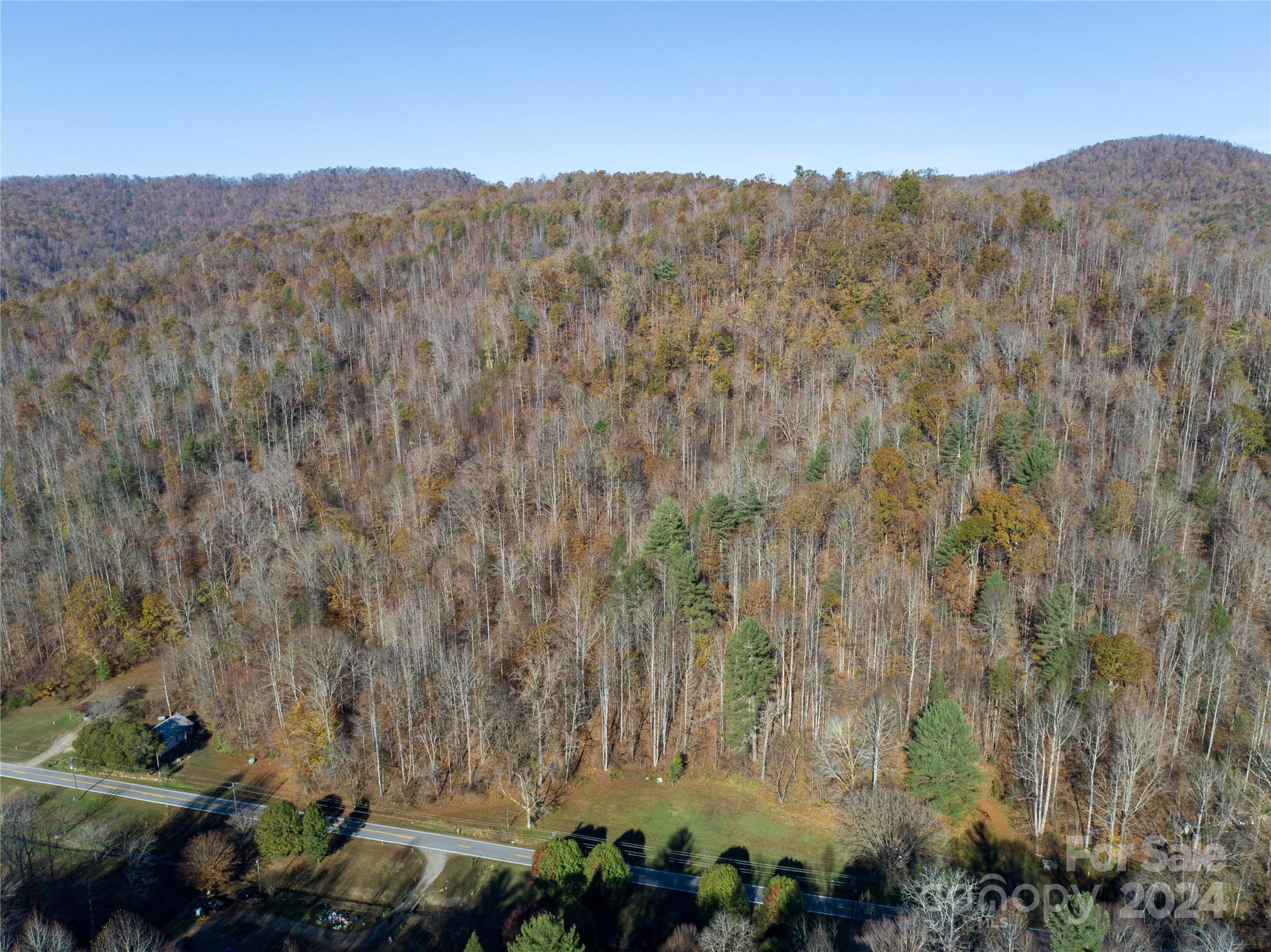 2003 Zacks Fork Road Property Photo 14