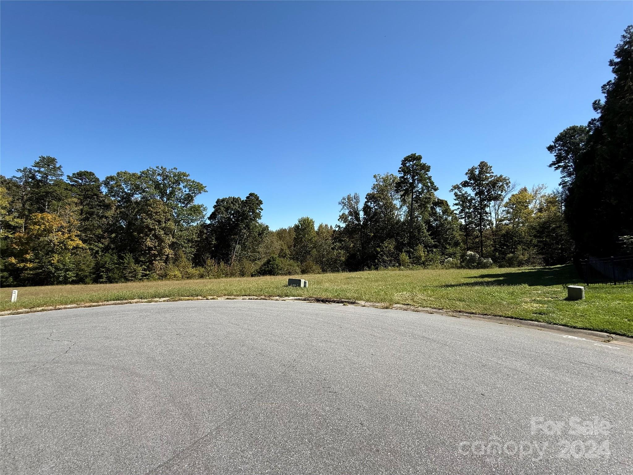 409 Walnut Crest Court Property Photo 1