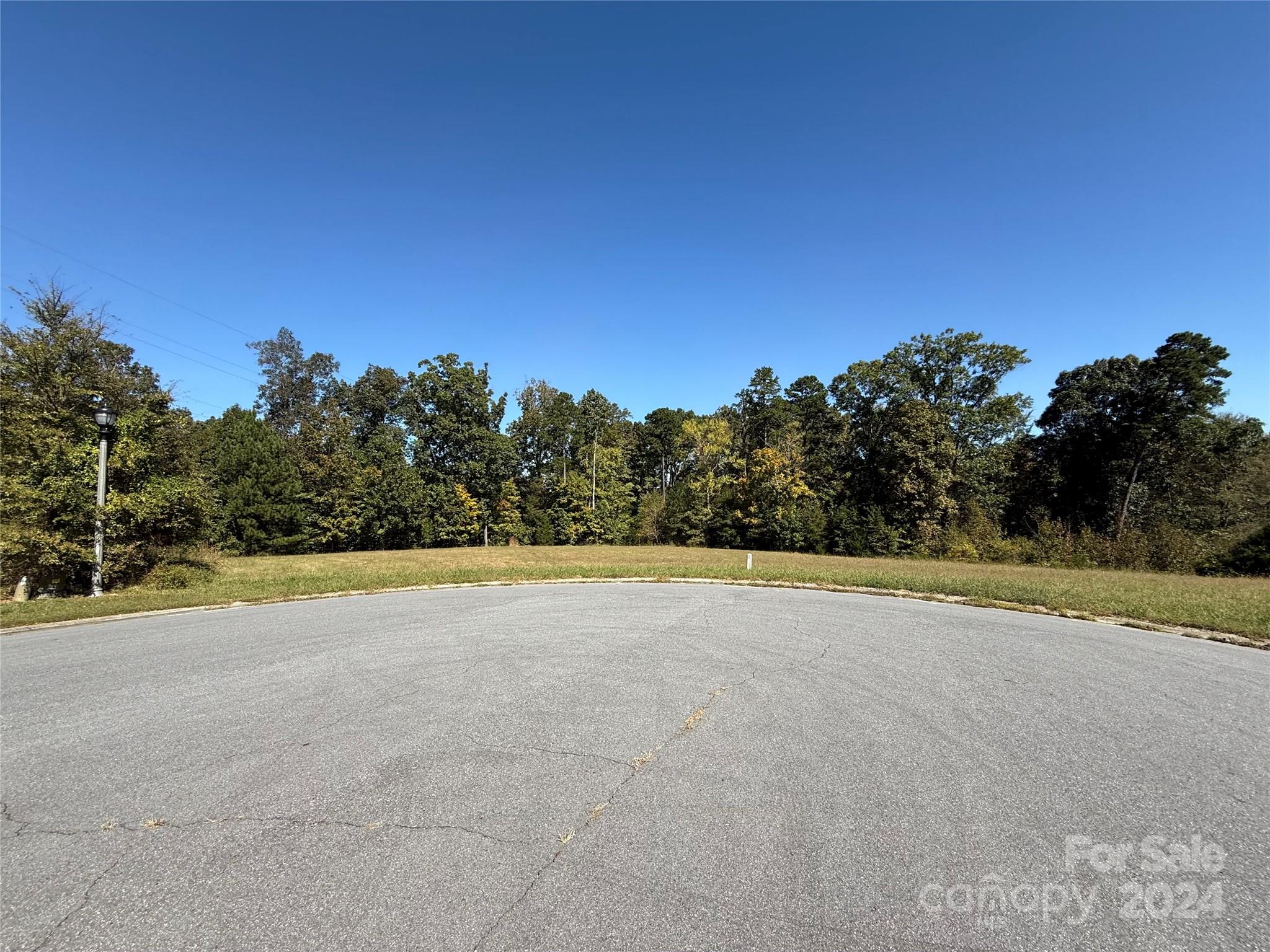 409 Walnut Crest Court Property Photo 2