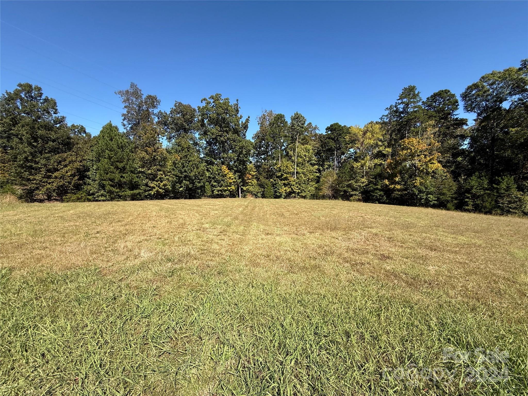 409 Walnut Crest Court Property Photo 3