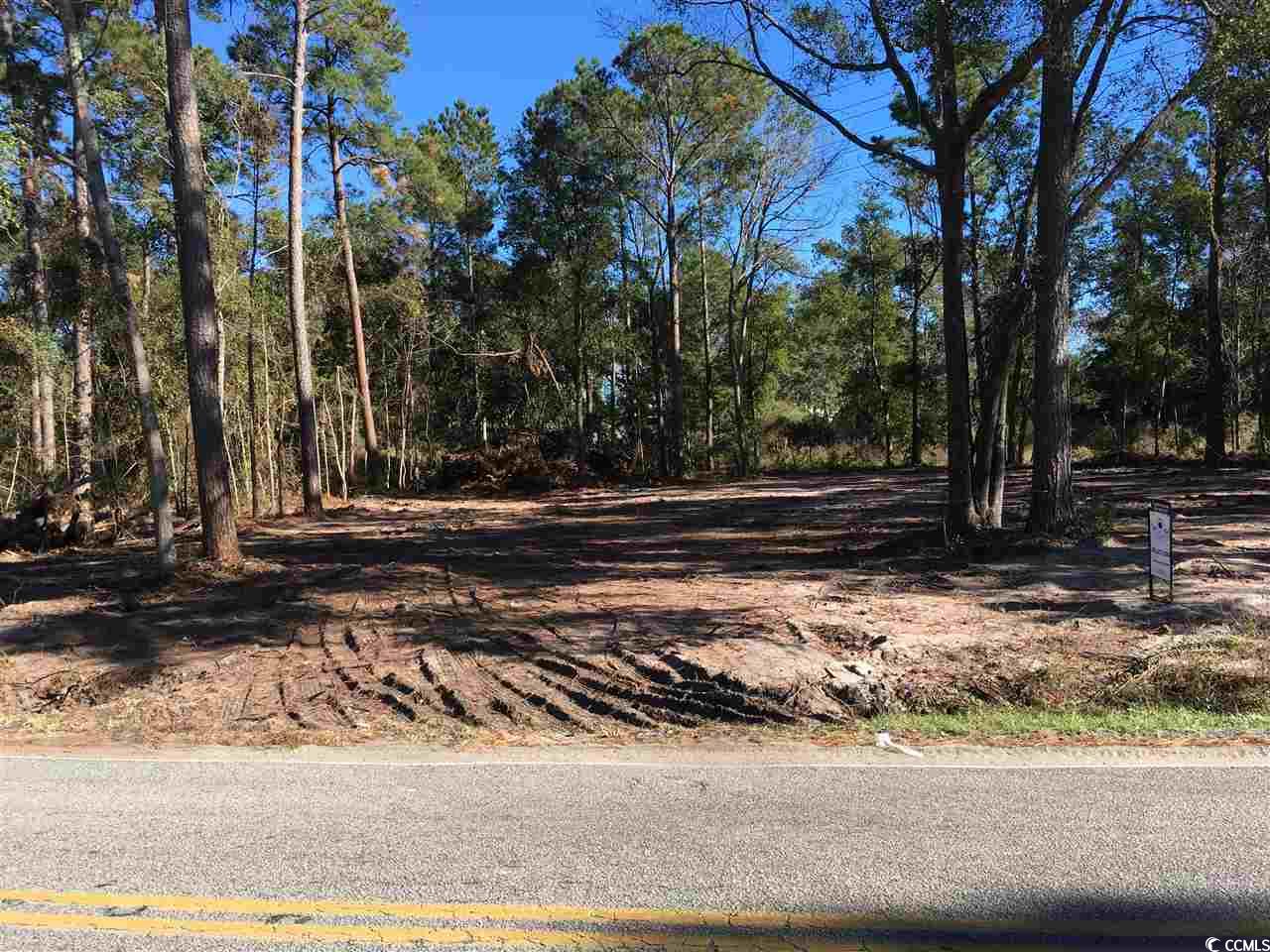 00 Petigru Dr. Property Photo 2