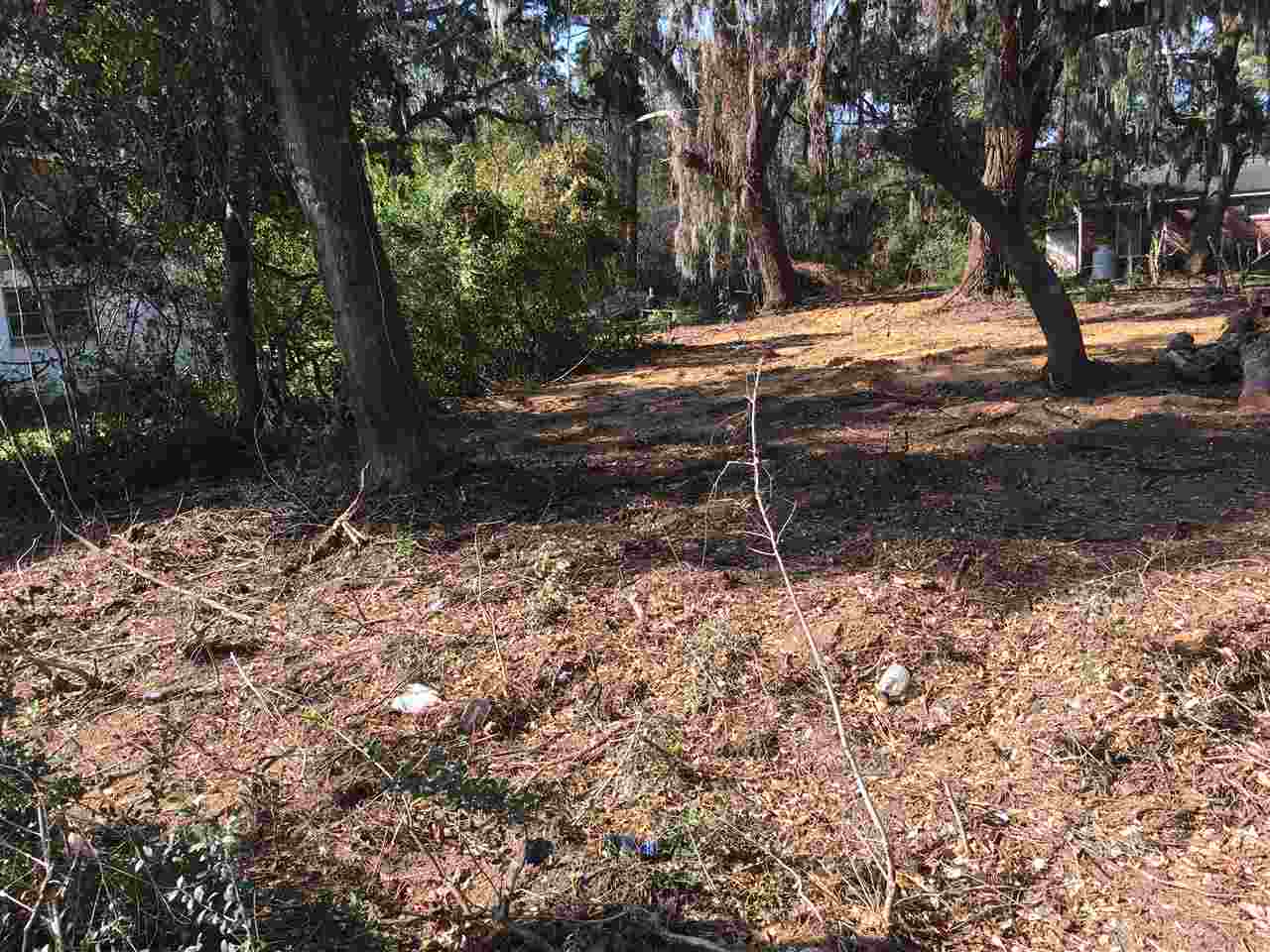 000 Ocean Highway Property Photo 5