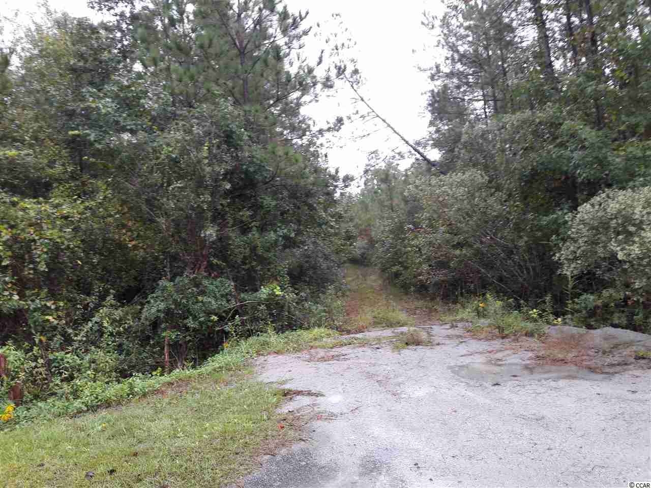 Tract 1 Highway 9 Property Photo 5