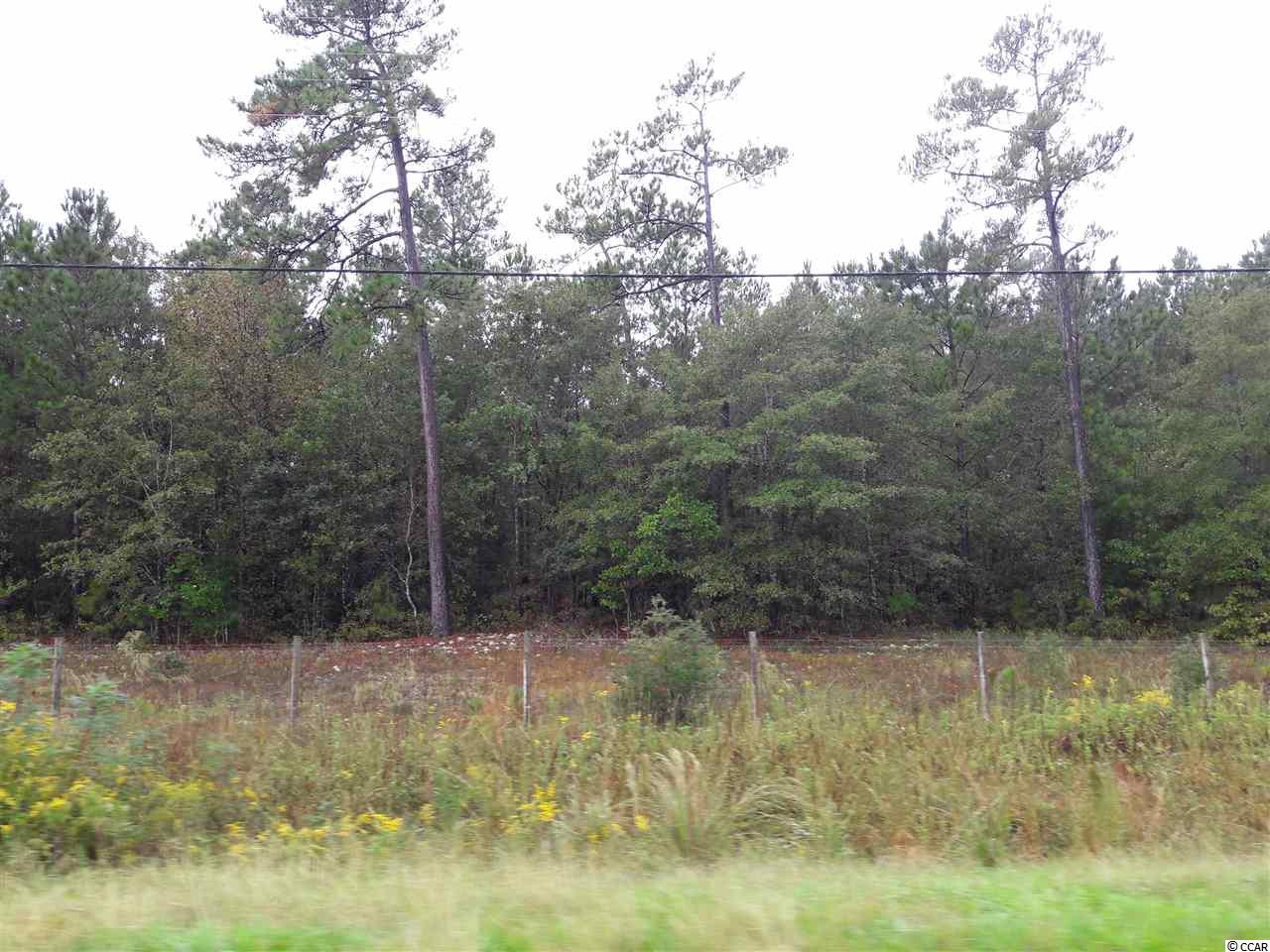 Tract 1 Highway 9 Property Photo 13