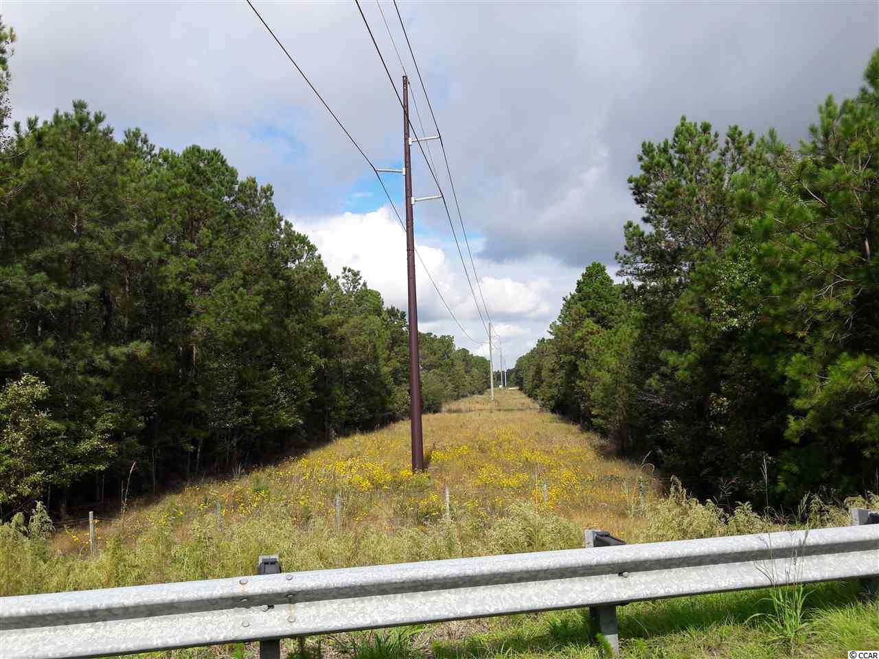 Tract 1 Highway 9 Property Photo 19