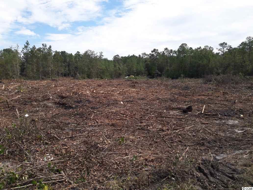 Tract 1 Highway 9 Property Photo 25