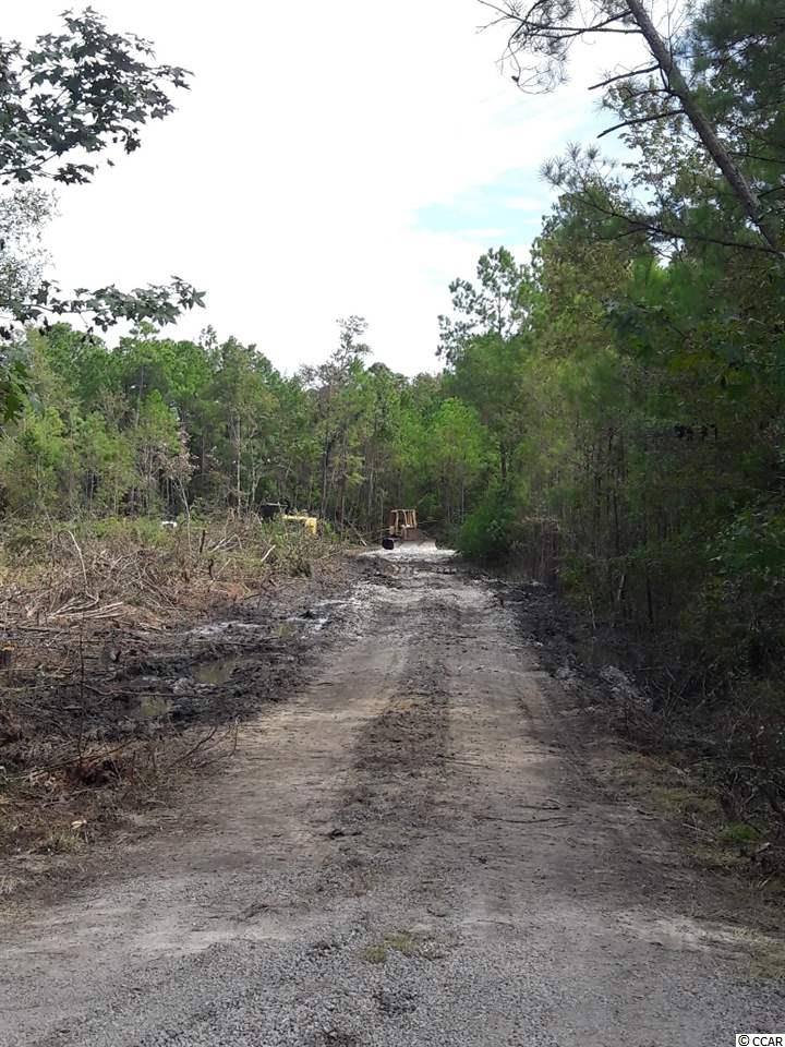 Tract 1 Highway 9 Property Photo 31