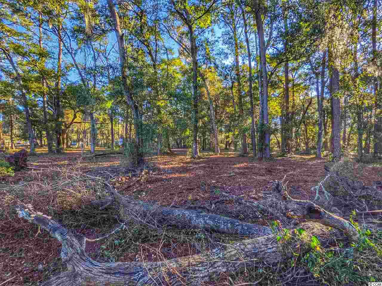 0 Ocean Hwy. Property Photo 3