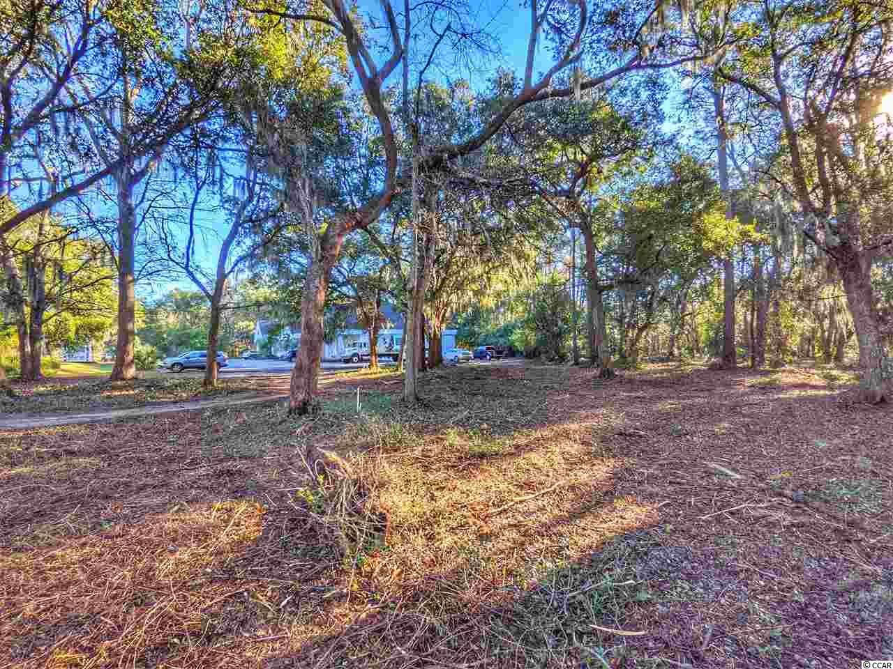 0 Ocean Hwy. Property Photo 5