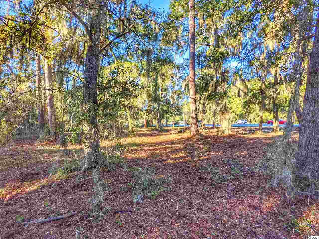 0 Ocean Hwy. Property Photo 6