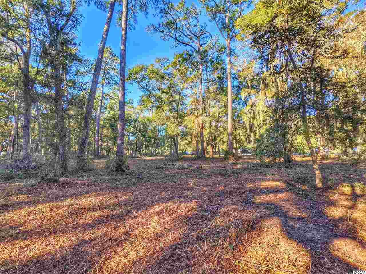 0 Ocean Hwy. Property Photo 14