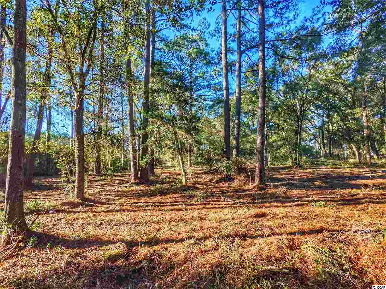 0 Ocean Hwy. Property Photo 20