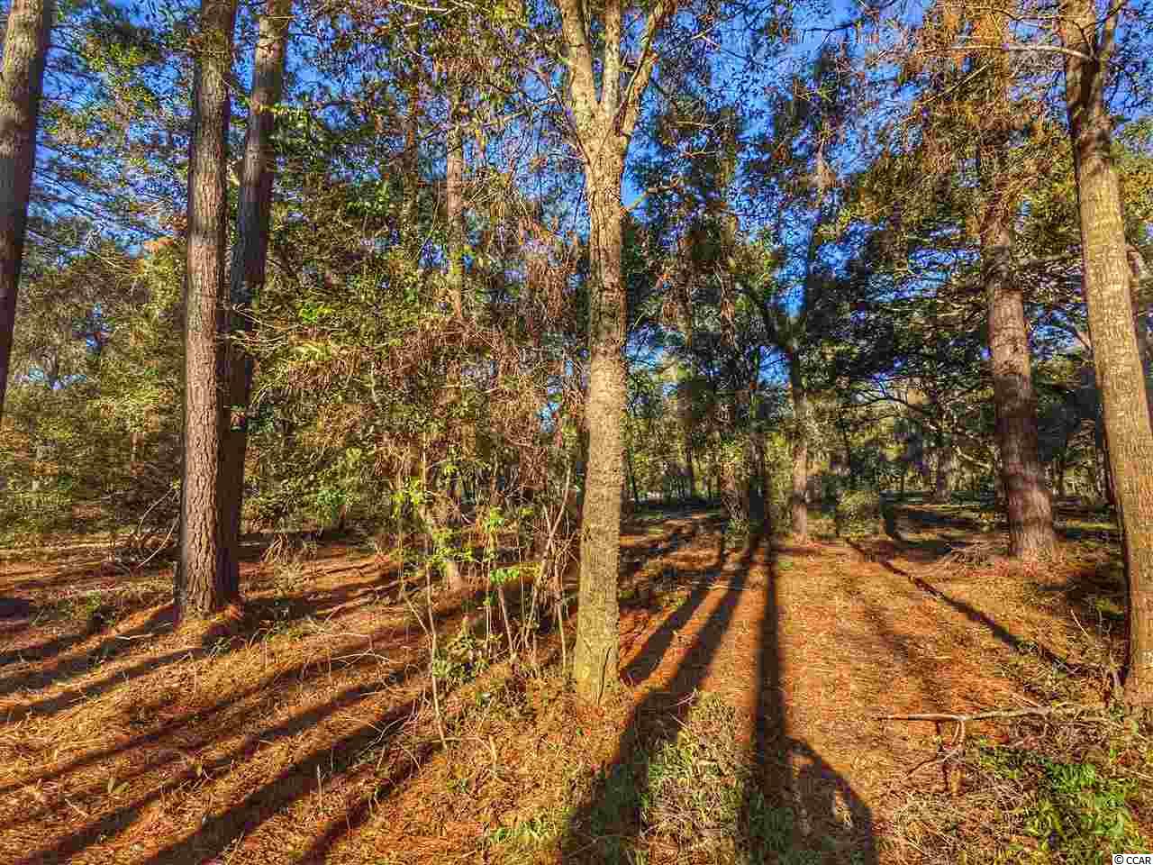 0 Ocean Hwy. Property Photo 22