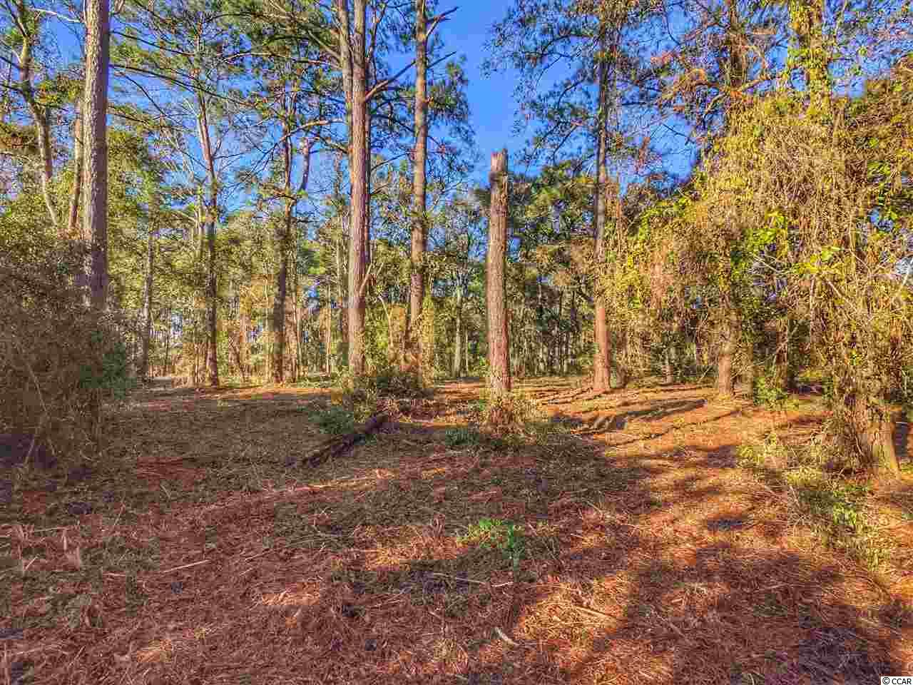 0 Ocean Hwy. Property Photo 24
