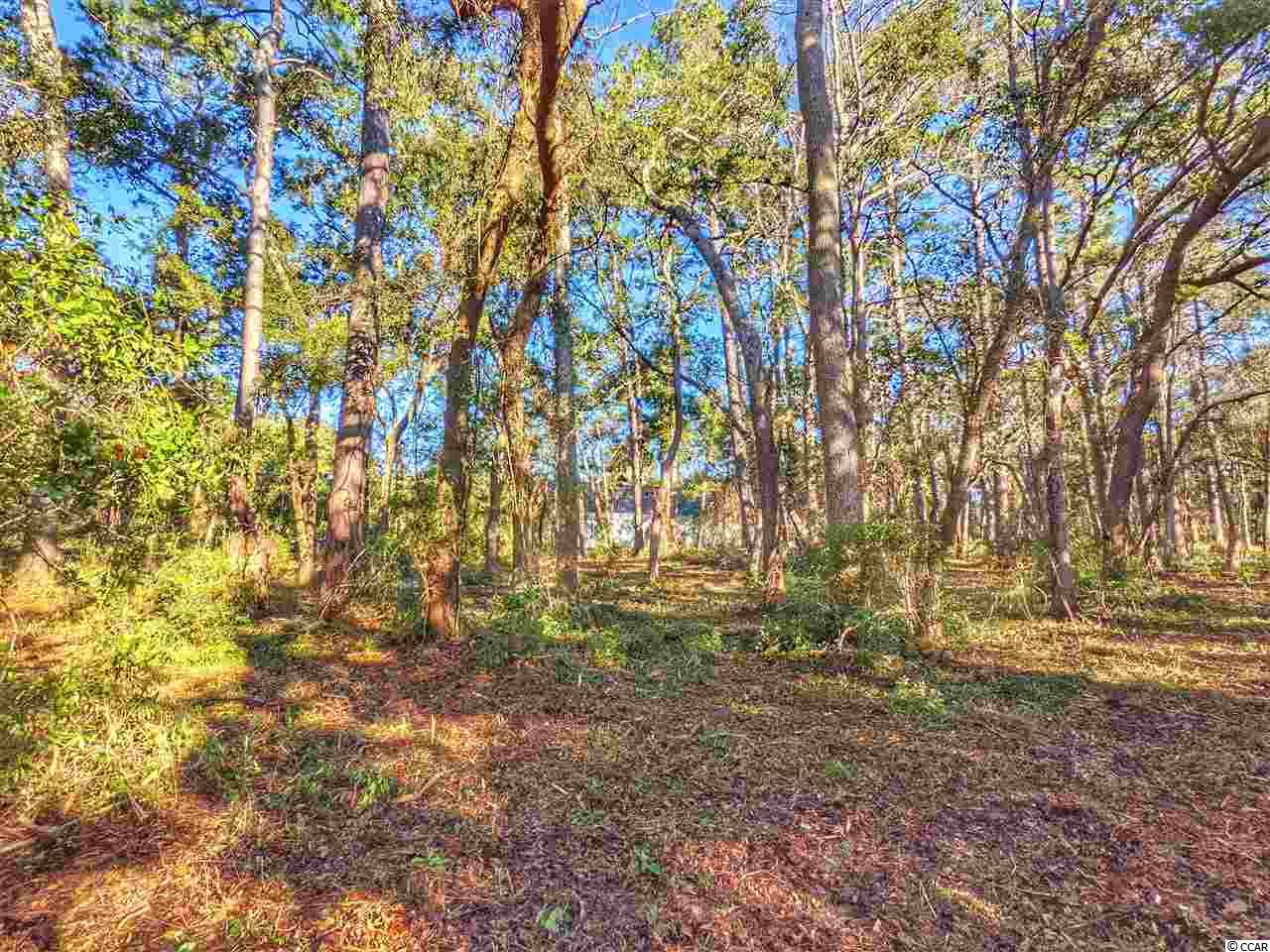 0 Ocean Hwy. Property Photo 26