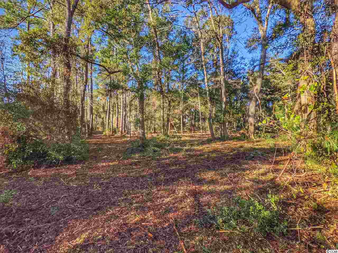0 Ocean Hwy. Property Photo 27