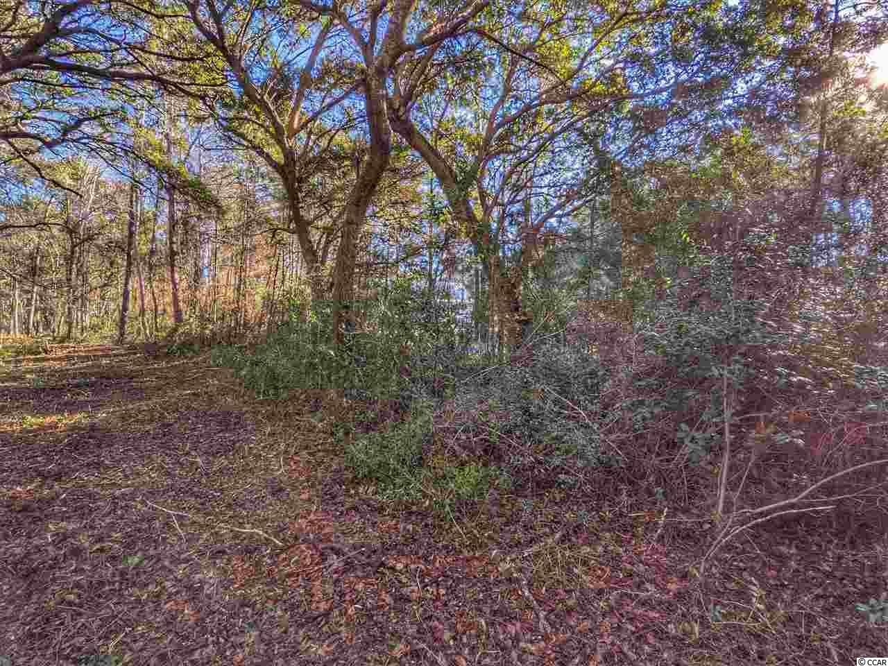 0 Ocean Hwy. Property Photo 28