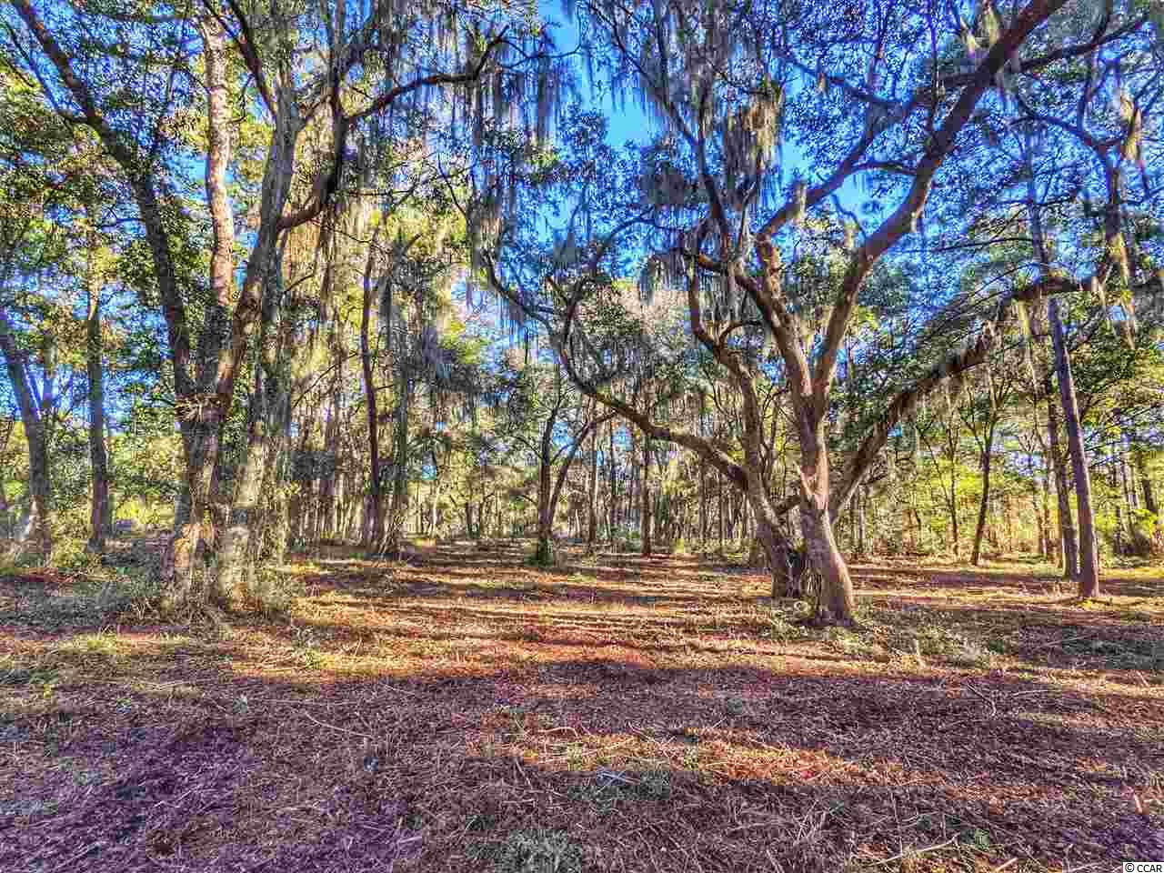 0 Ocean Hwy. Property Photo 33