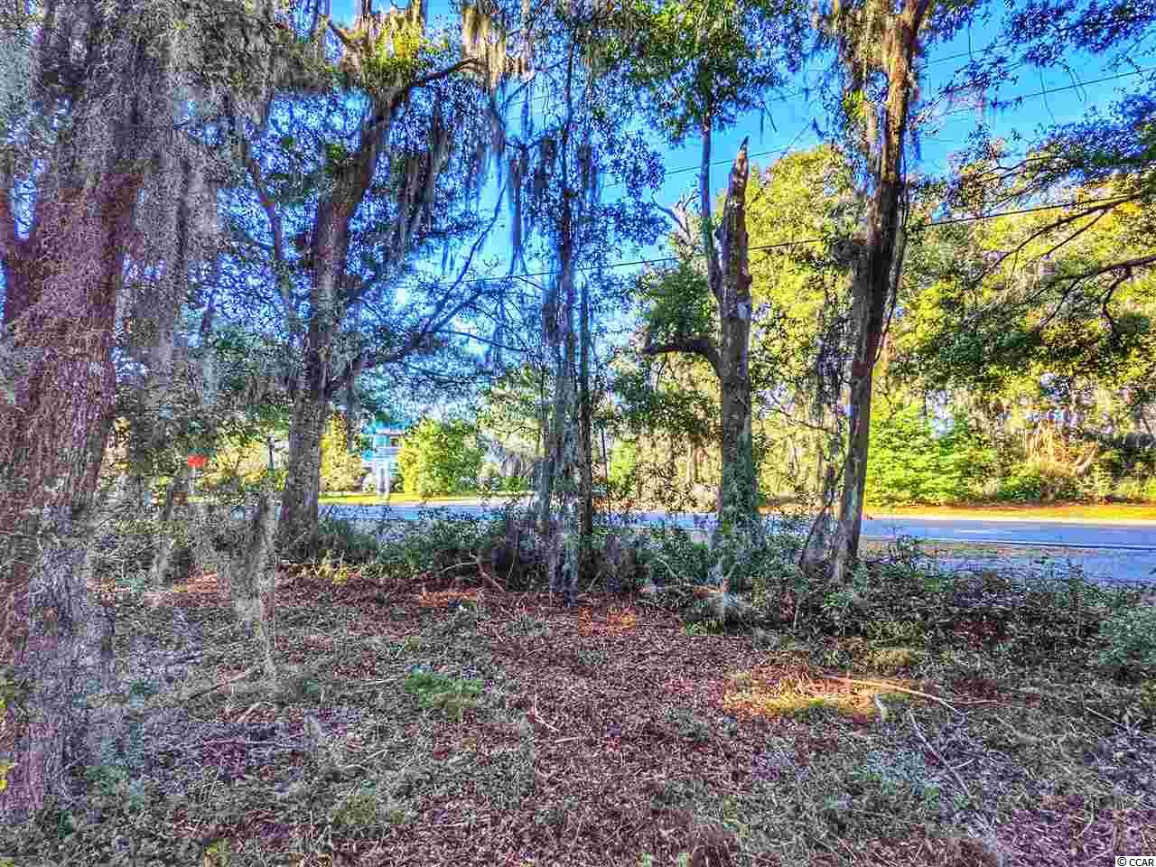 0 Ocean Hwy. Property Photo 34