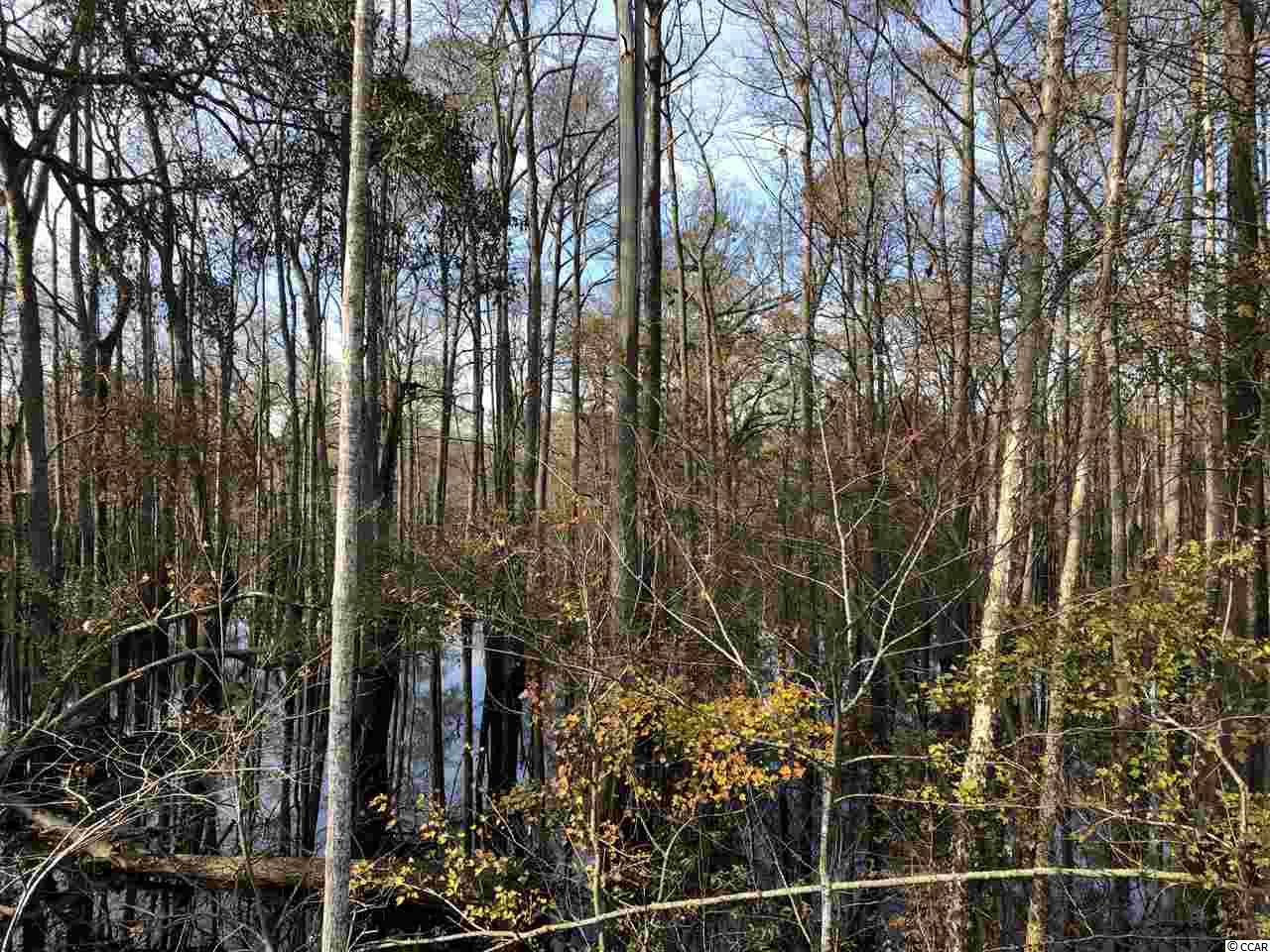 10a Bear Bluff Dr. Property Photo 3