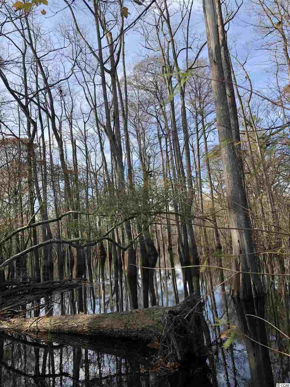 10a Bear Bluff Dr. Property Photo 5