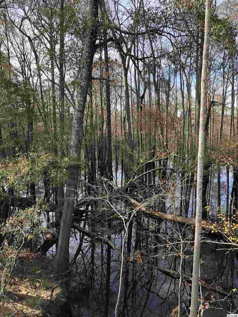10a Bear Bluff Dr. Property Photo 6